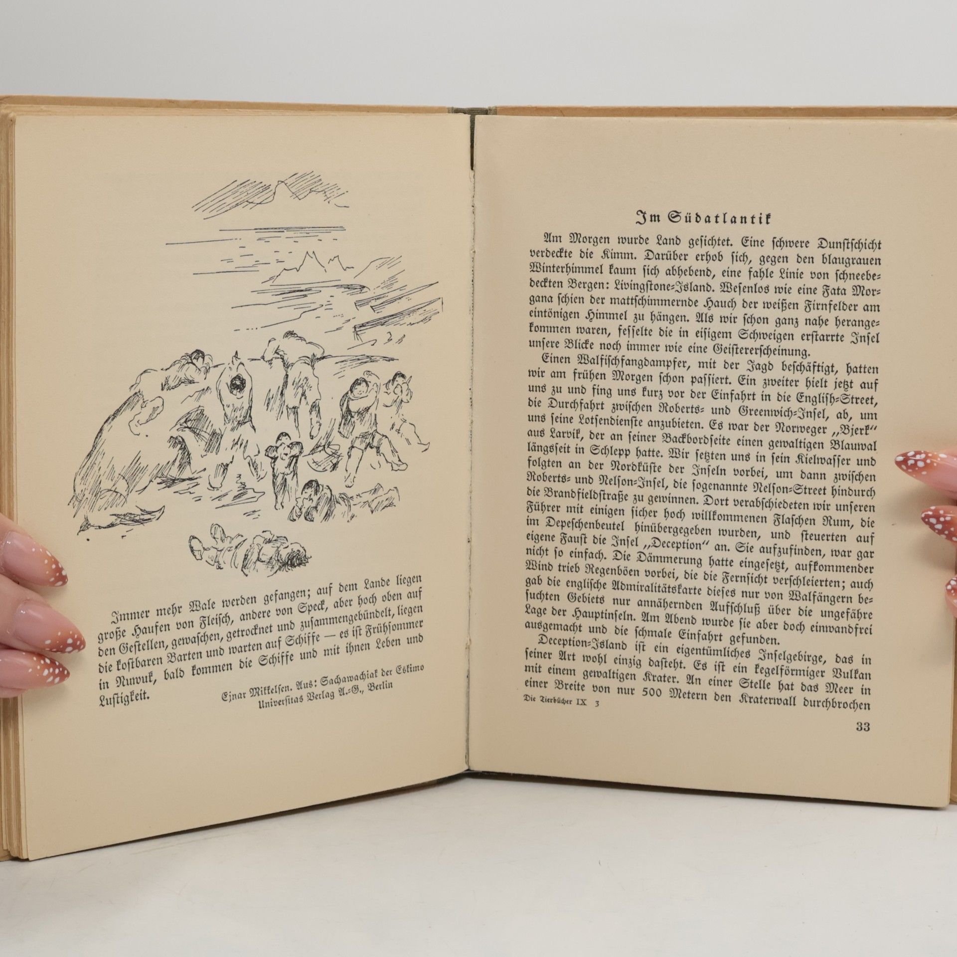 Otto Winter Die Tierbücher: Wale