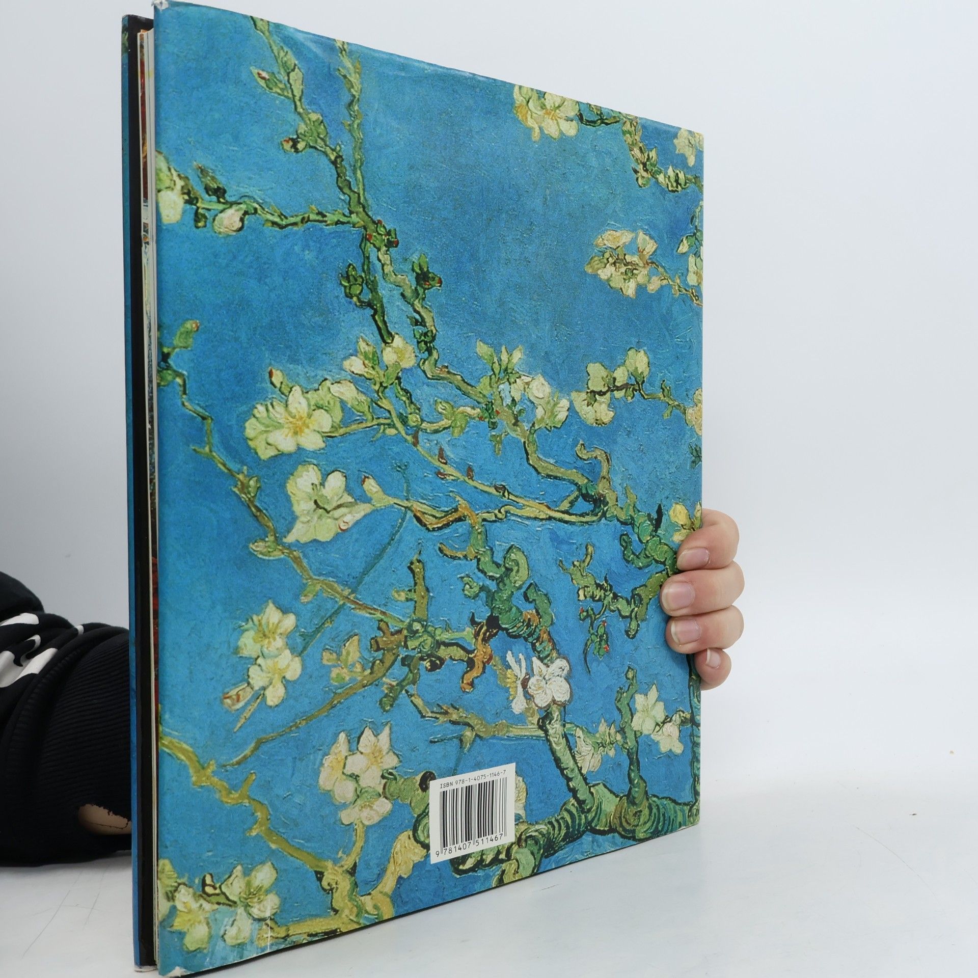 Jörn Hetebrügge Vincent van Gogh