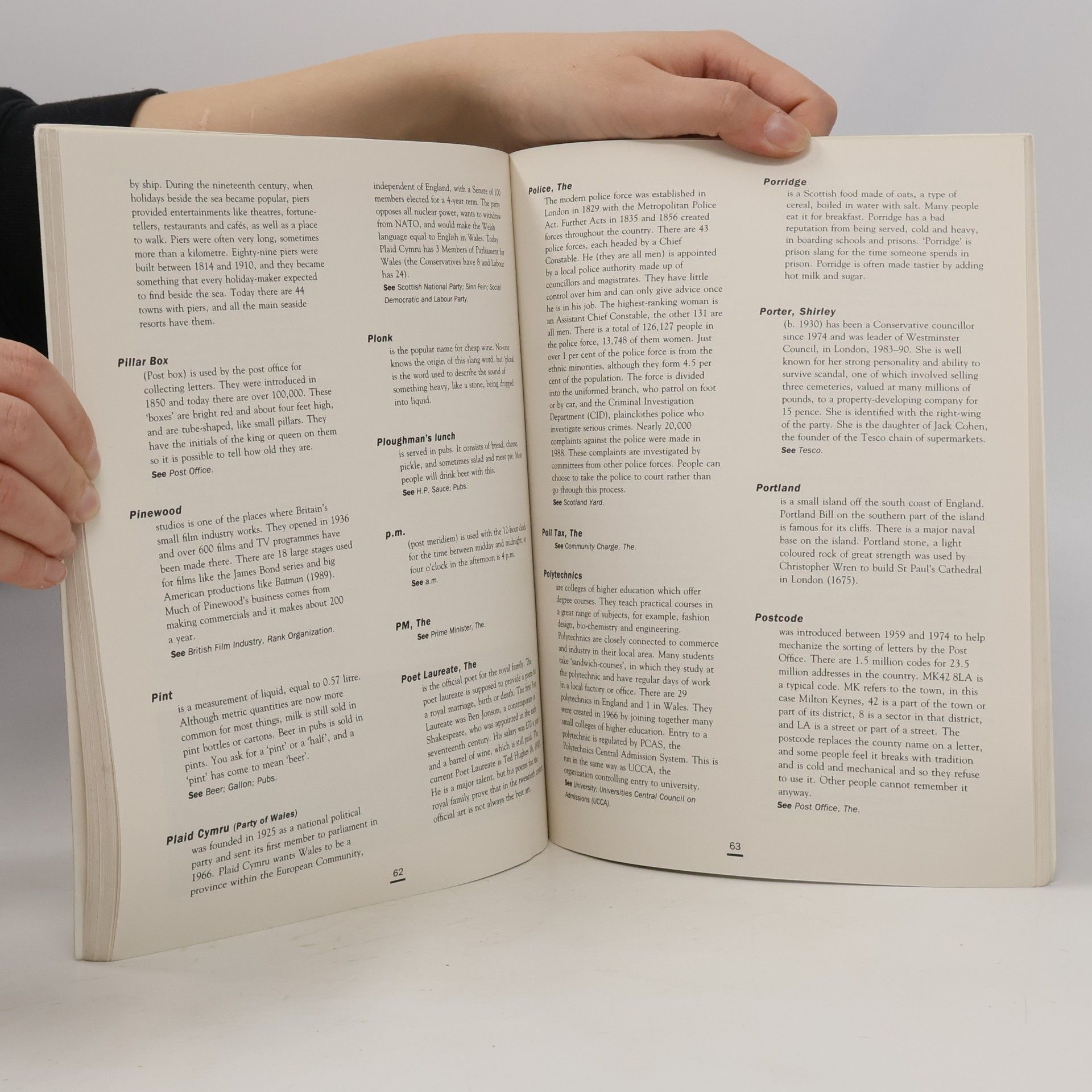 Michael Nation Penguin English: A Dictionary of Modern Britain