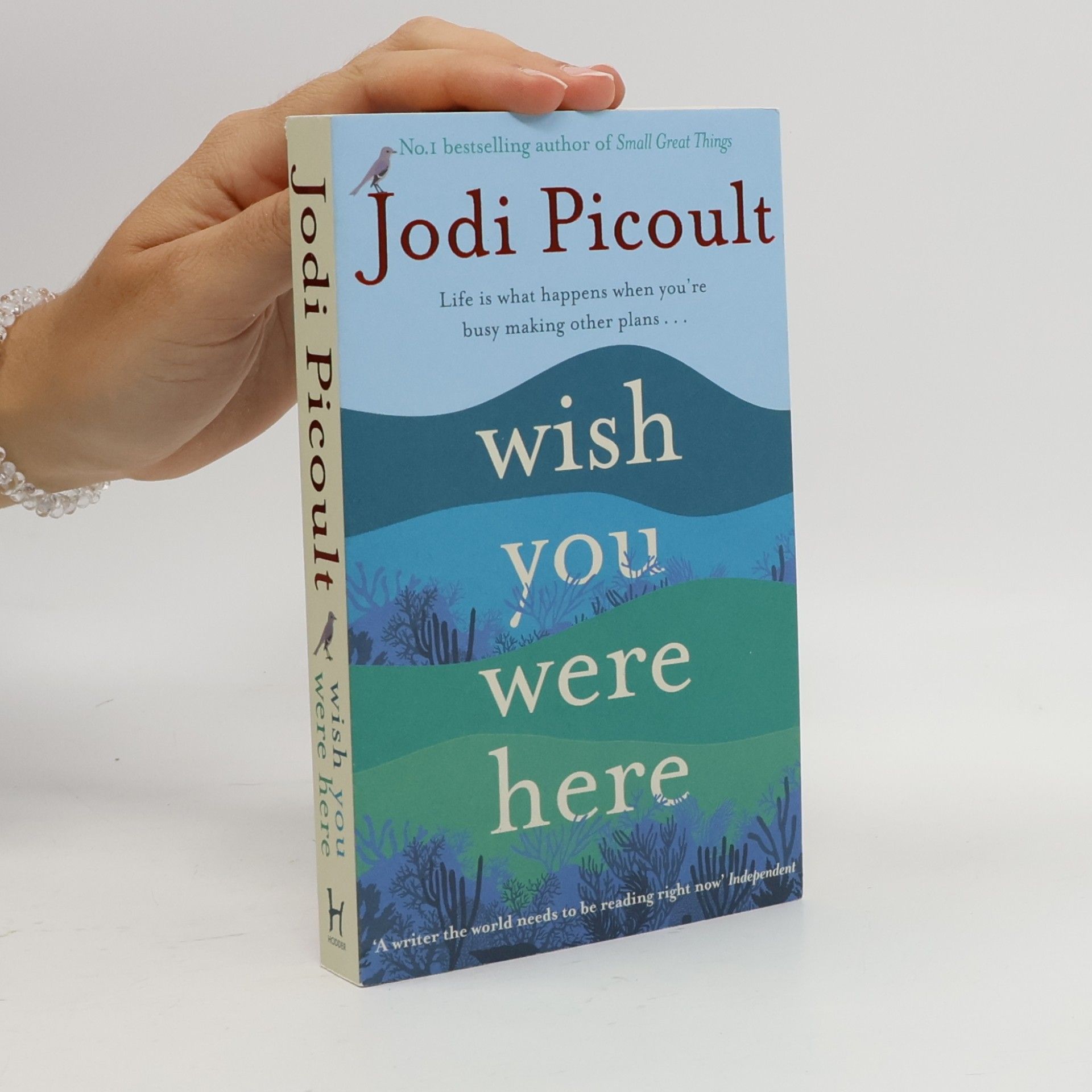 Wish you were here
