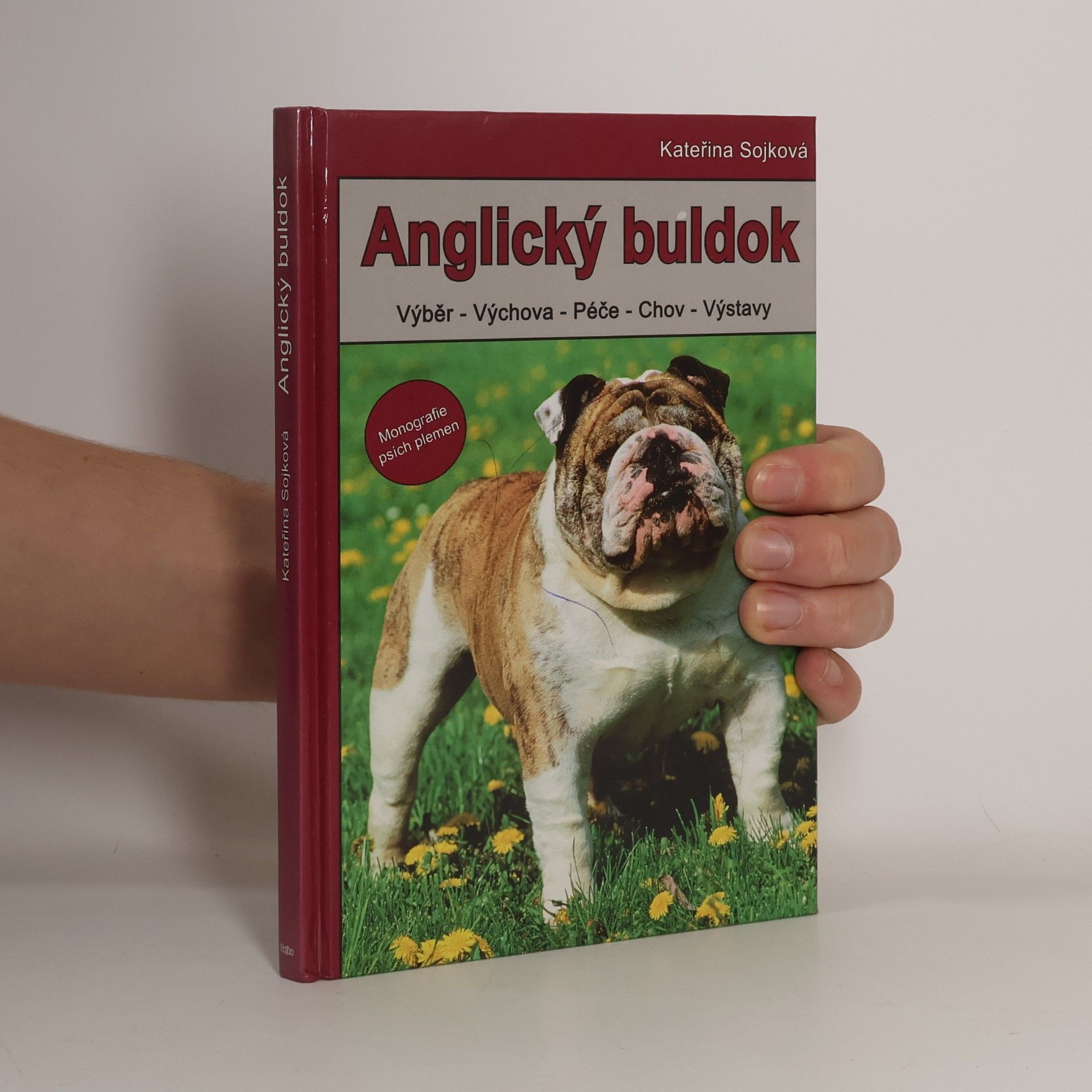 Anglický buldok