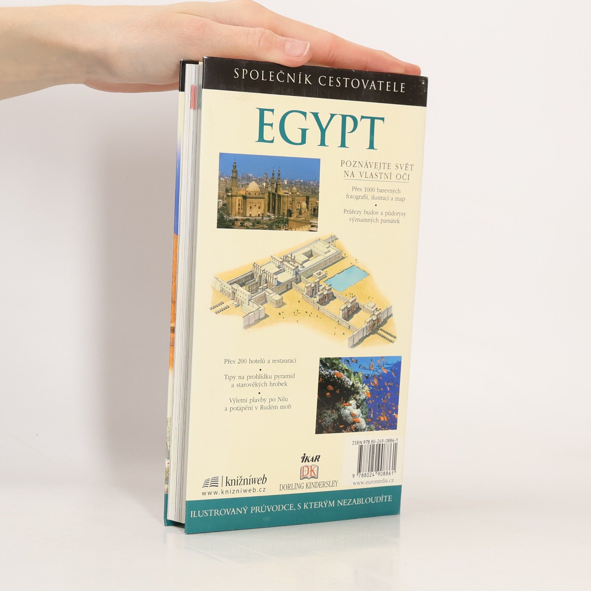 Jane Dunford Egypt