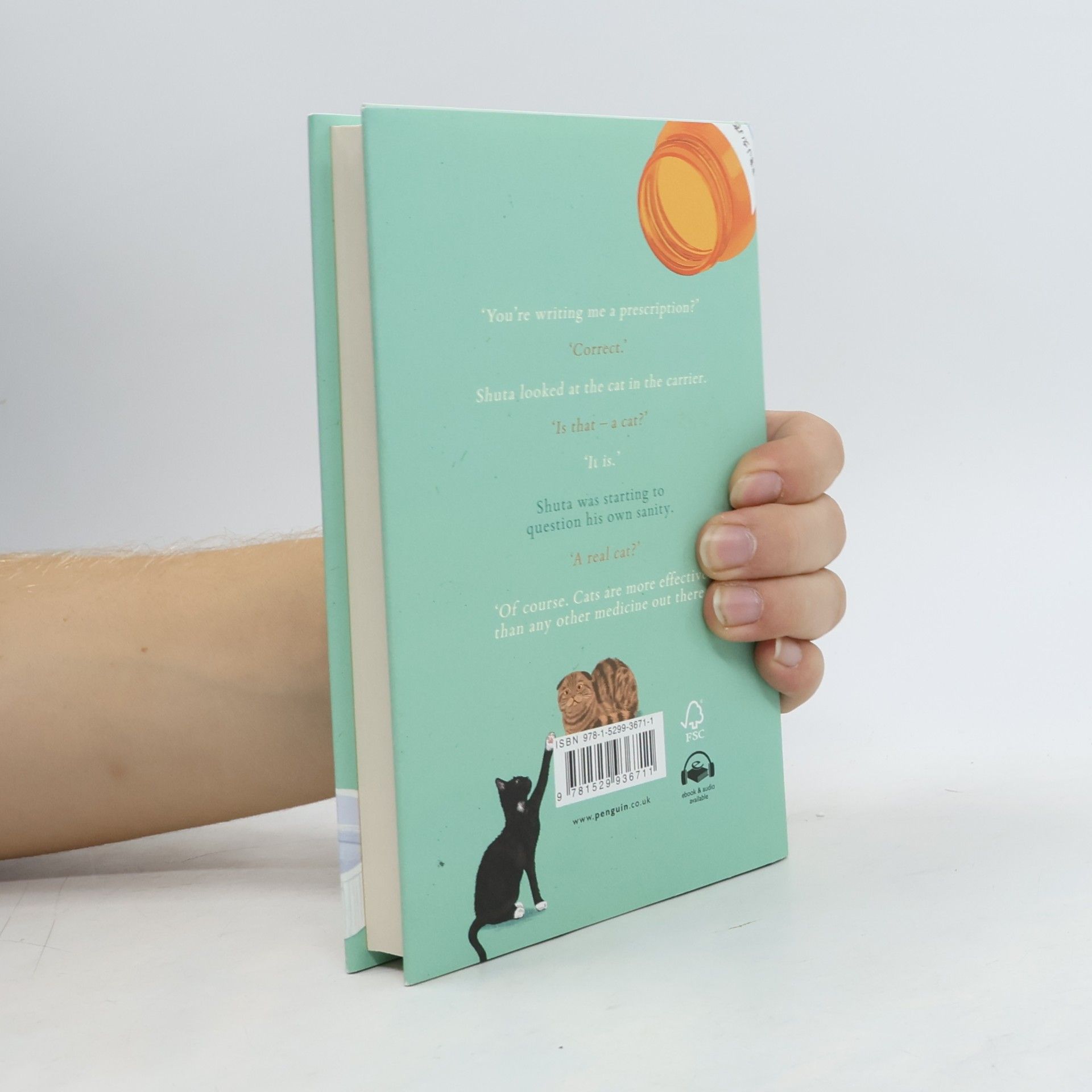 Syou Ishida We'll Prescribe You a Cat: The feel good Japanese bestselling book