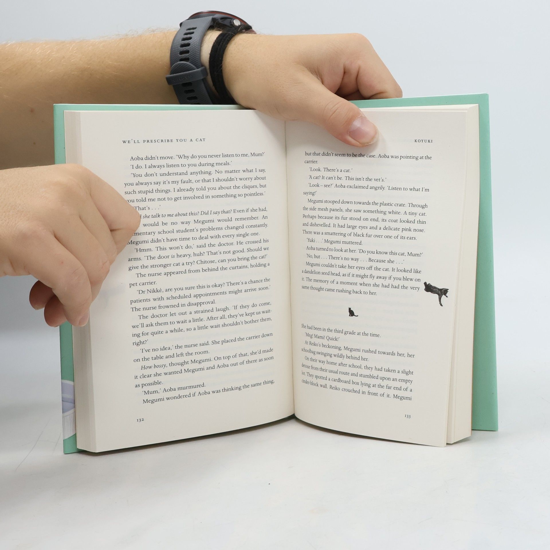 Syou Ishida We'll Prescribe You a Cat: The feel good Japanese bestselling book