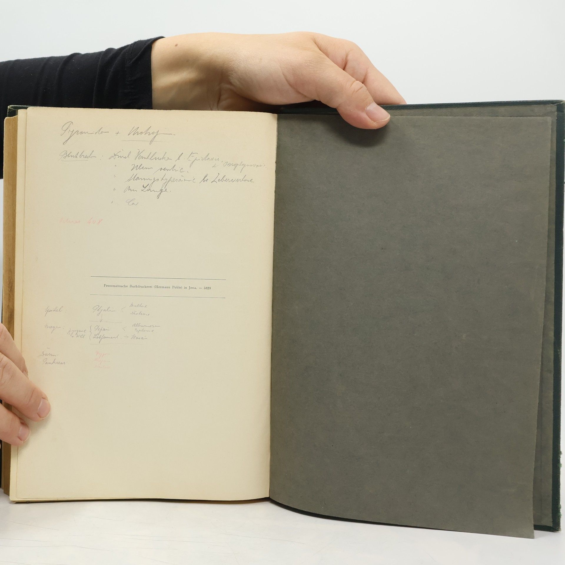 J. von Mering J. V. Mering's Lehrbuch der inneren Medizin 1