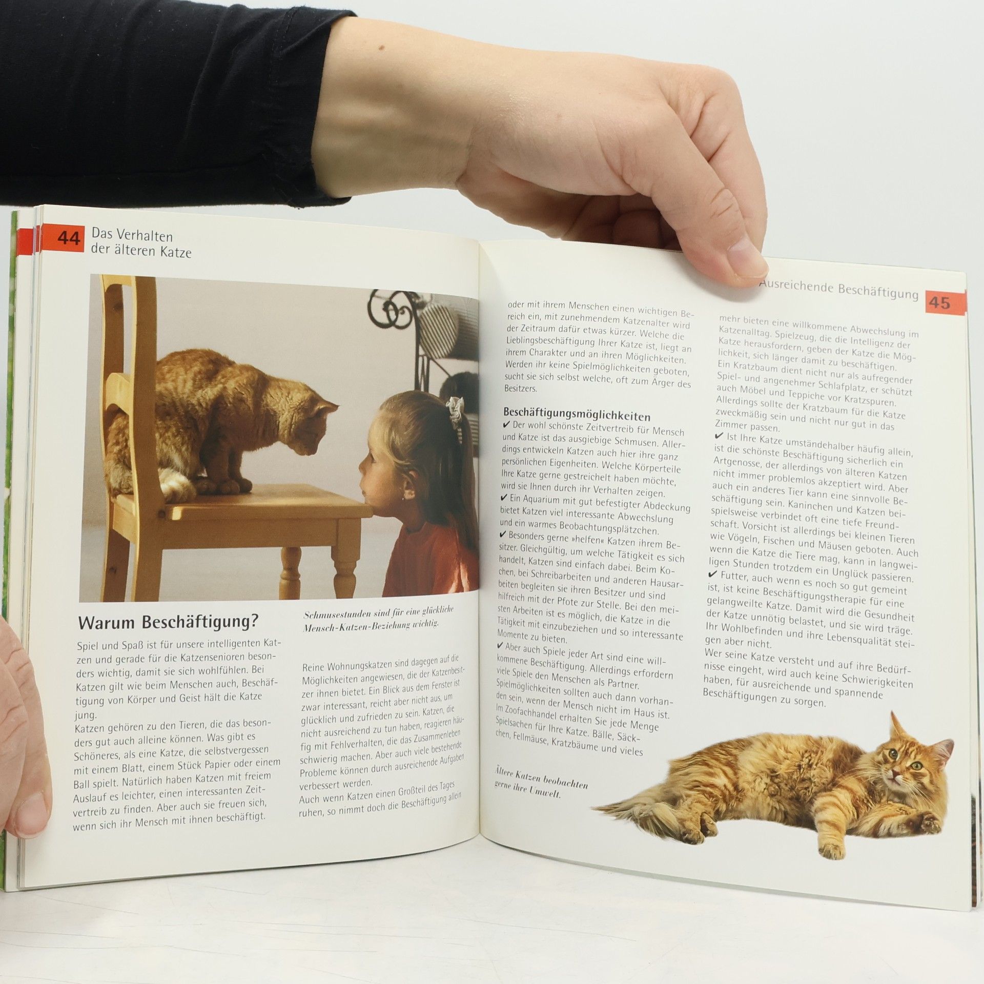 Linda Waniorek Wenn meine Katze älter wird