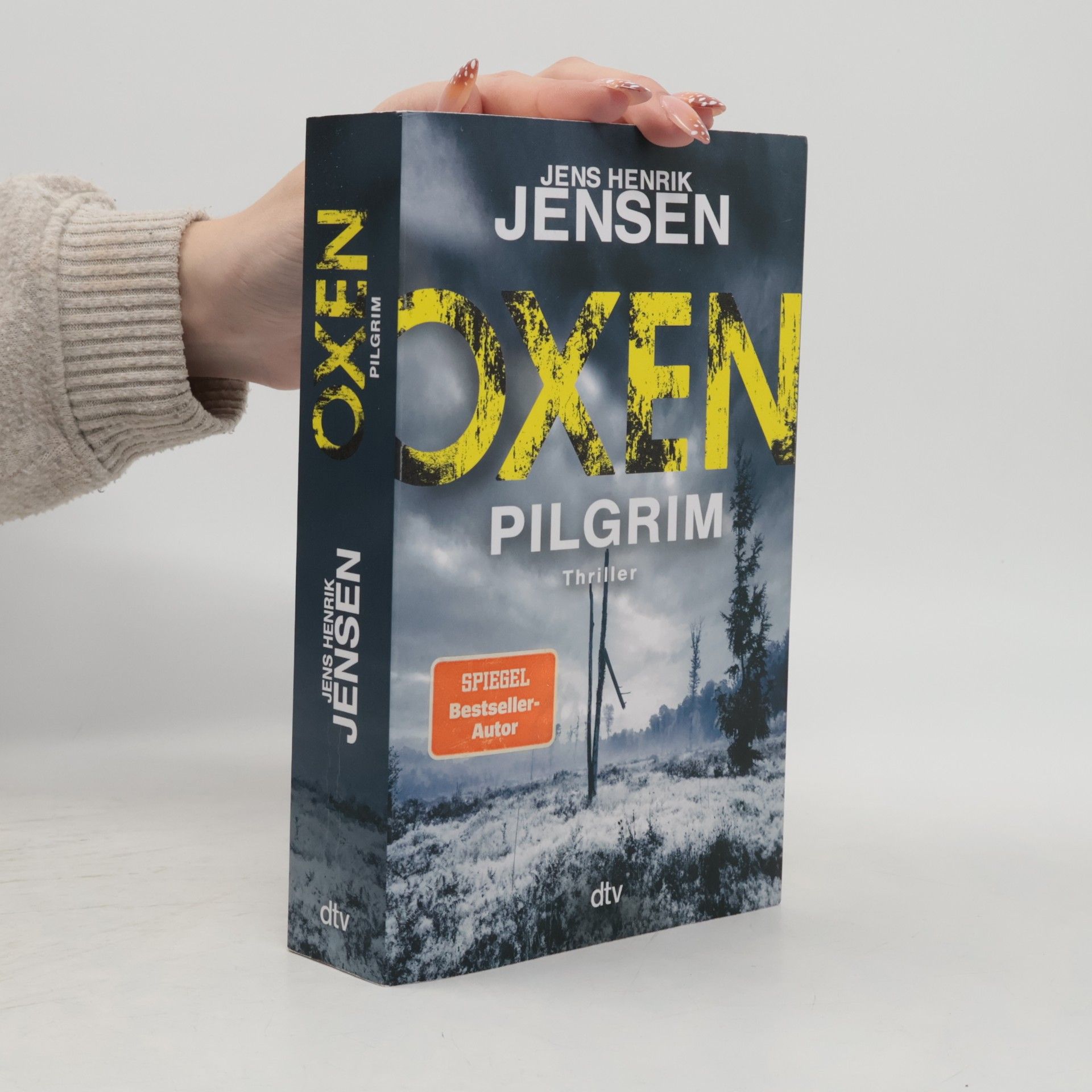 Oxen. Pilgrim