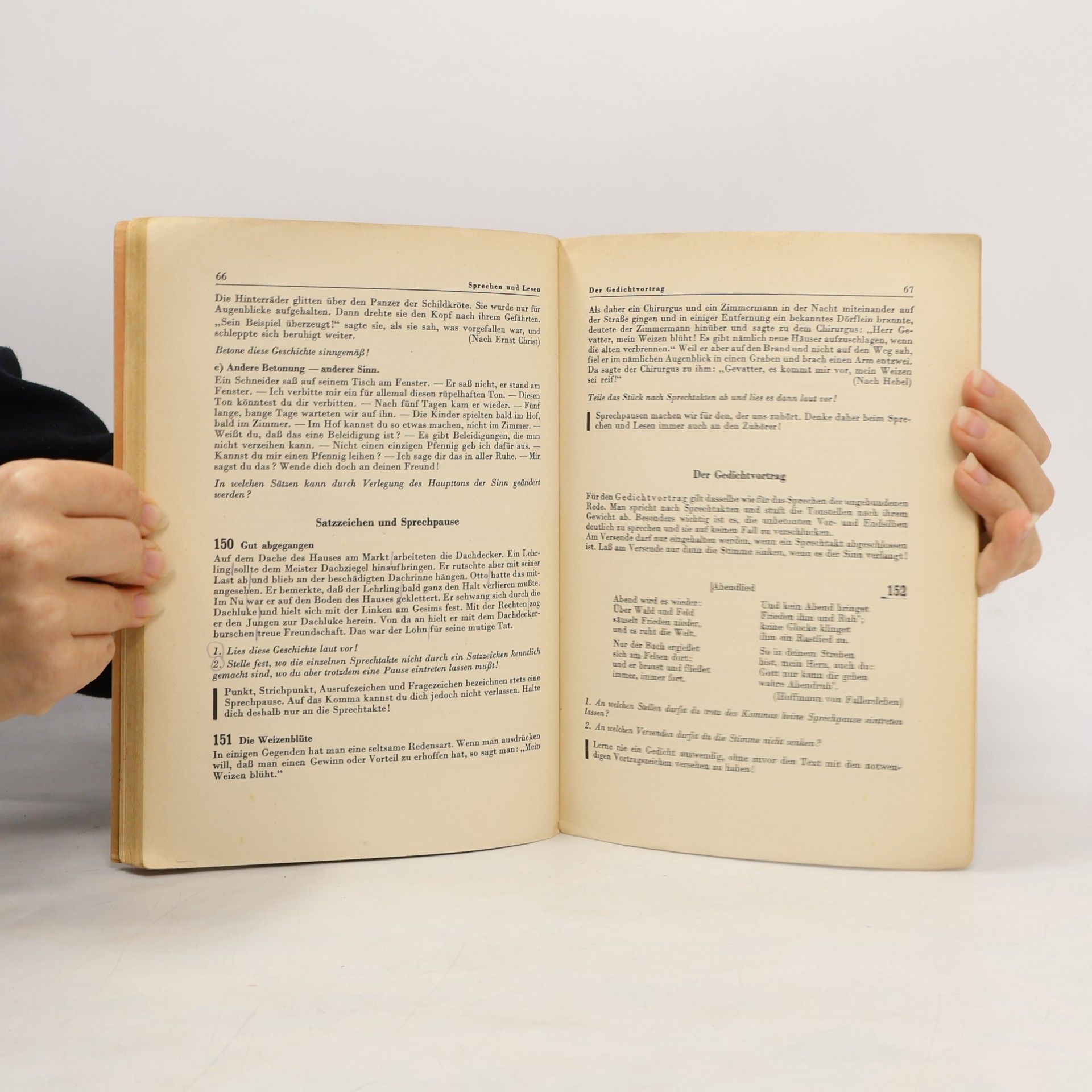 Schmidt Lebendige Muttersprache 2
