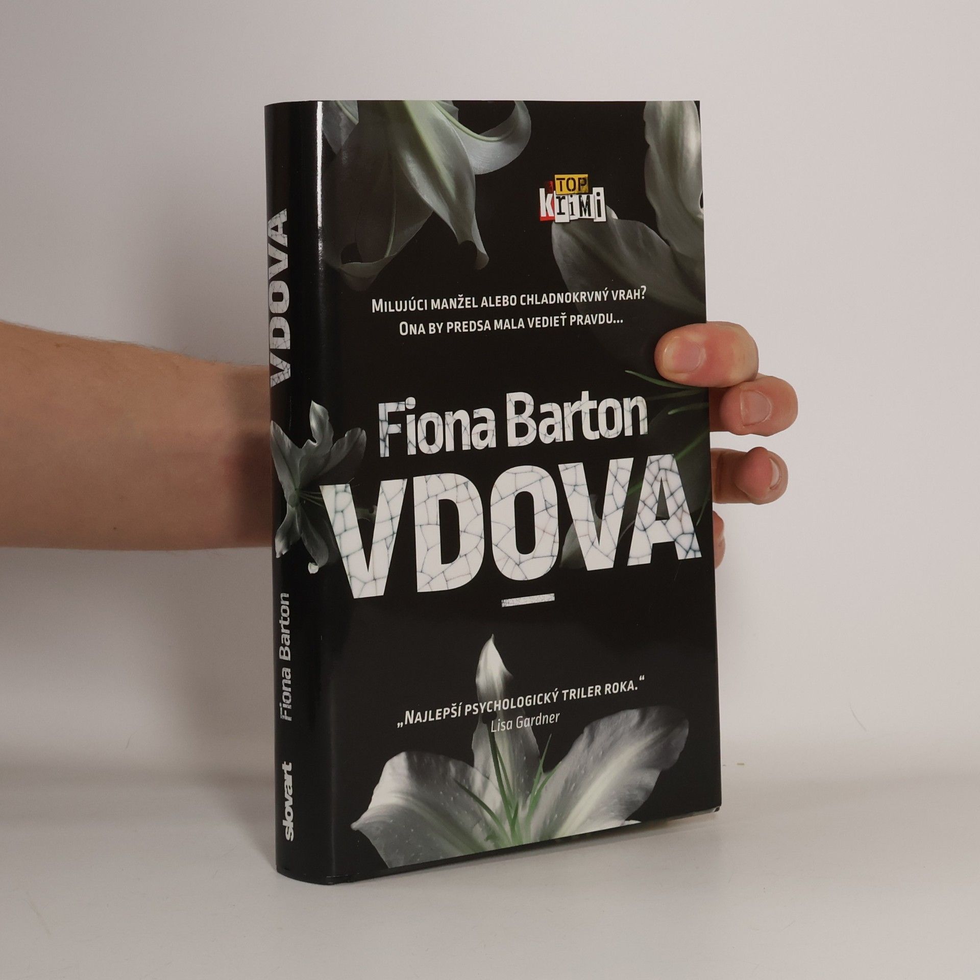 Fiona Barton Vdova