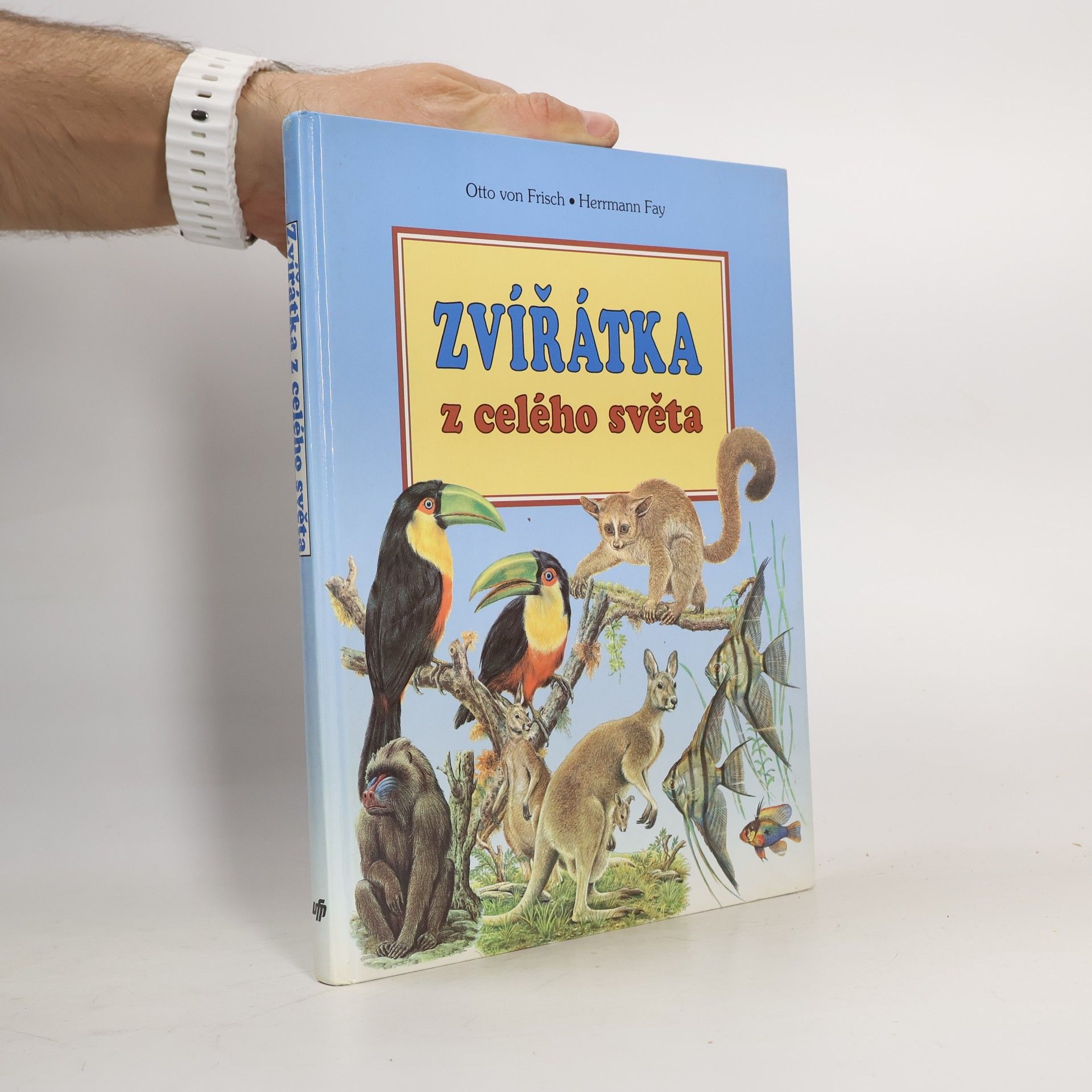 Zvířátka z celého světa