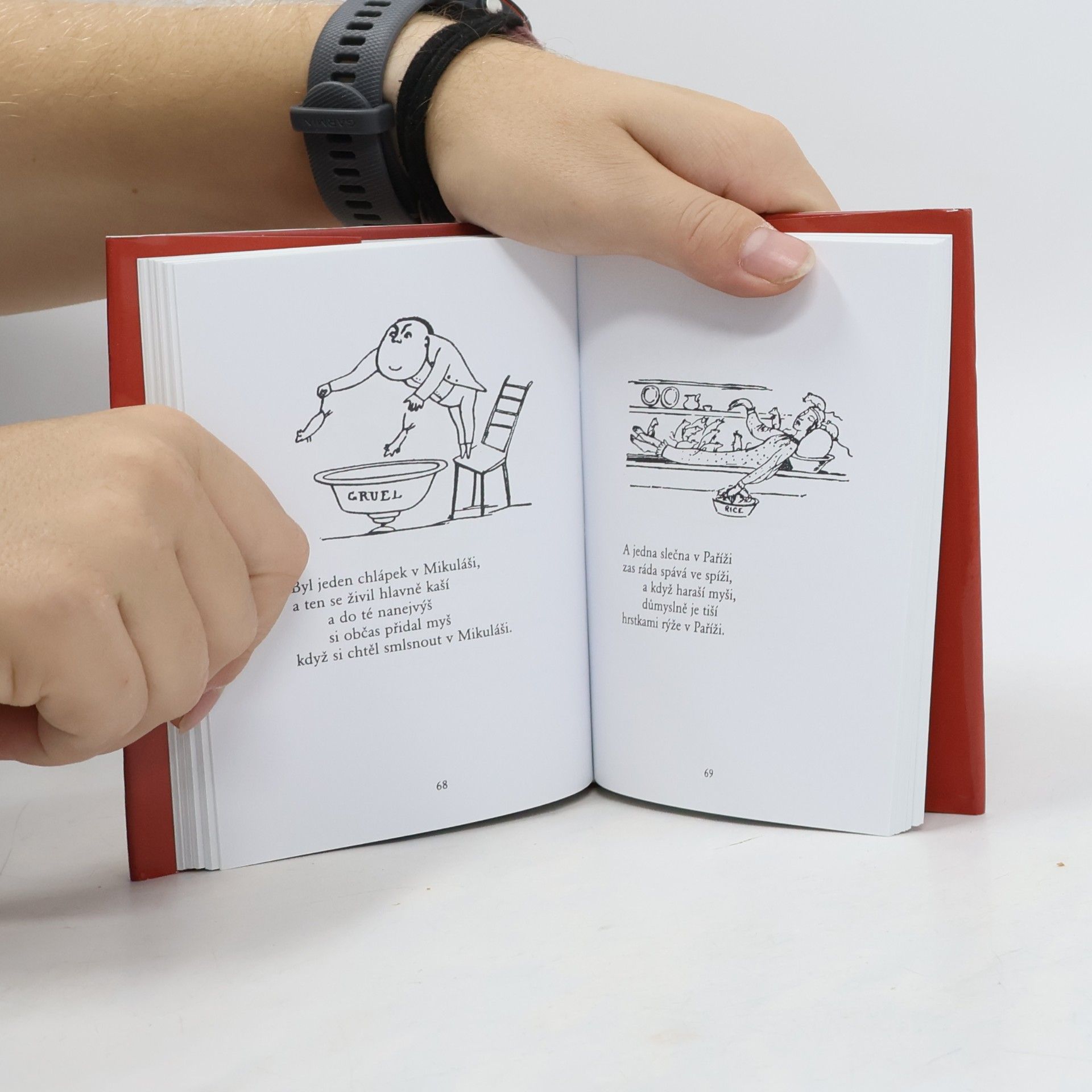 Edward Lear Learovy třesky plesky česky
