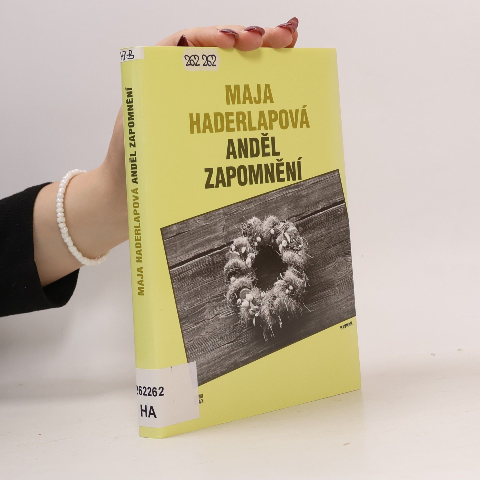 Maja Haderlap Anděl zapomnění