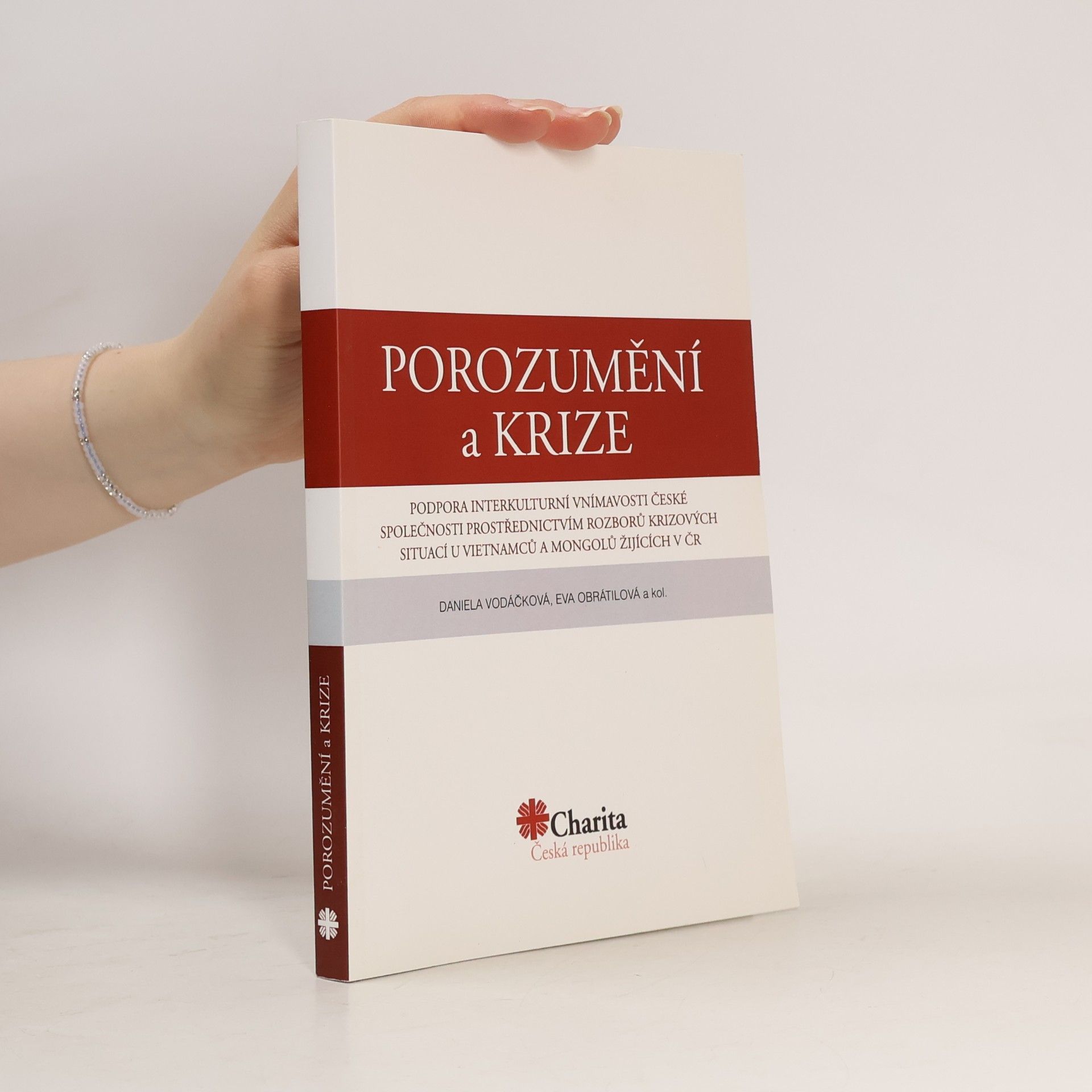 Porozumění a krize
