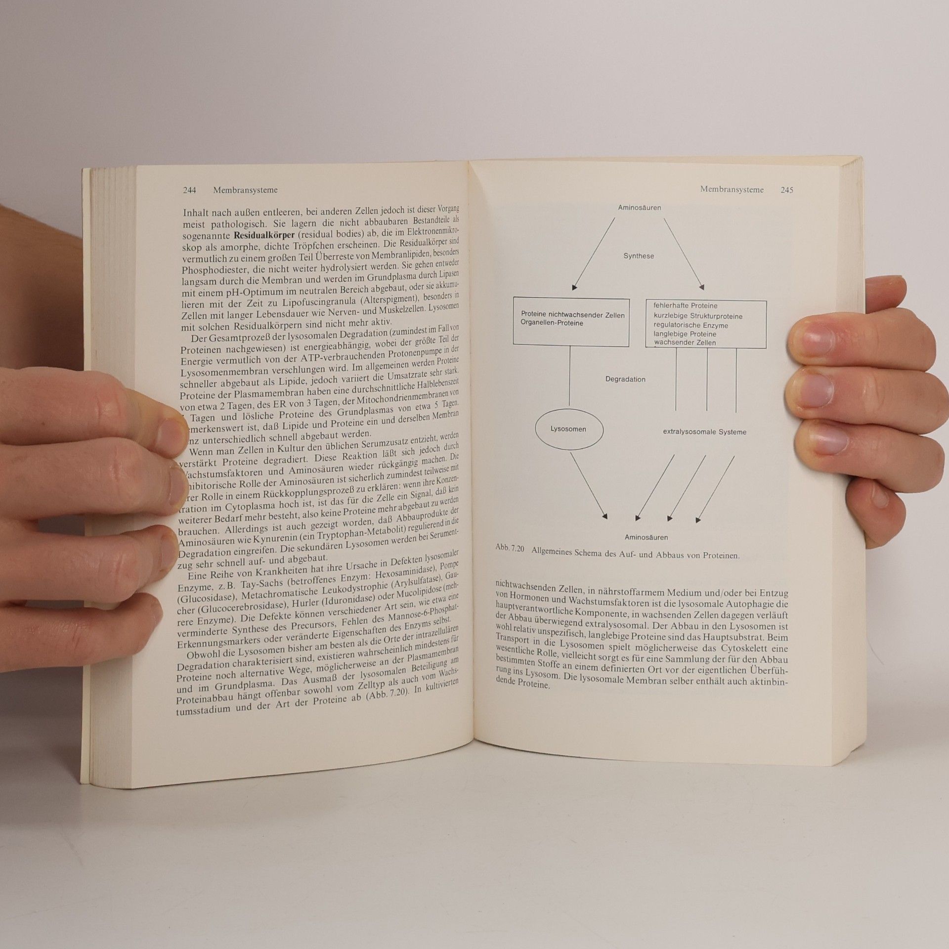 Ludger Rensing Grundlagen der Zellbiologie