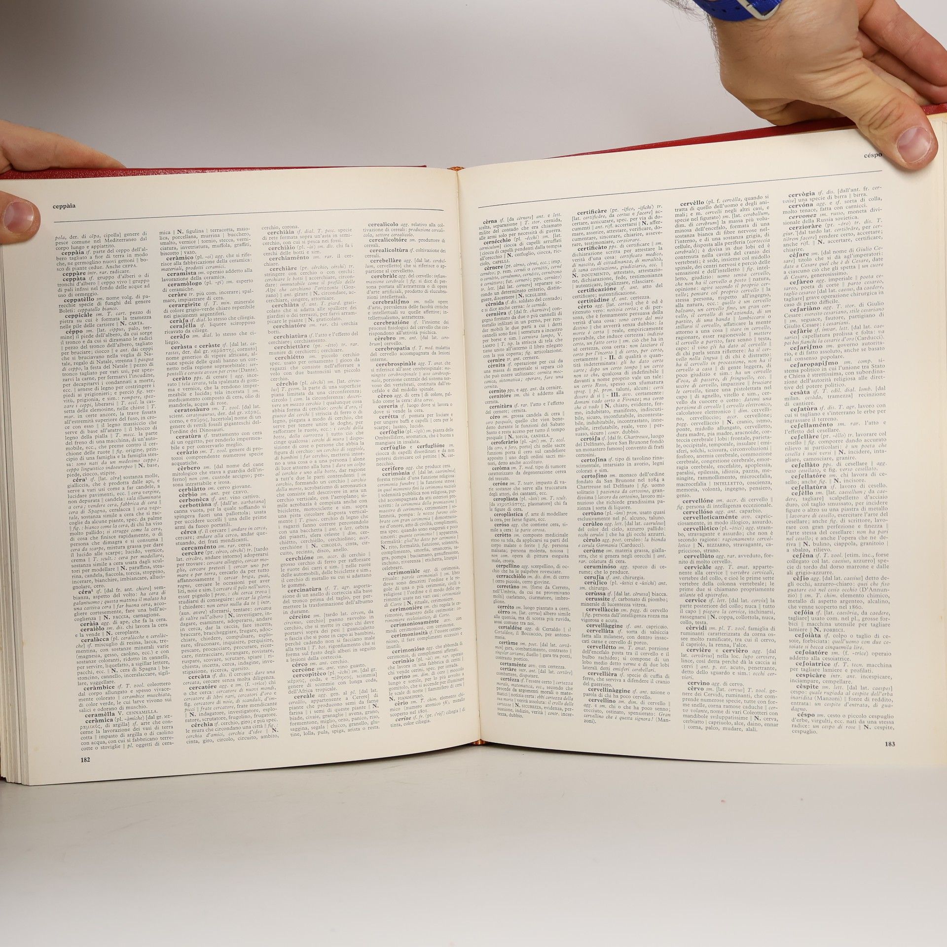 AA.VV. Novissimo dizionario della lingua italiana I.