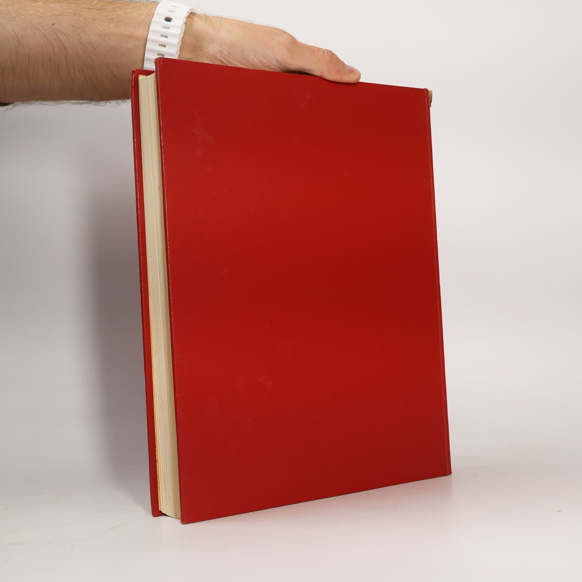 Rosaryta Santini Novissimo dizionario della lingua italiana II.