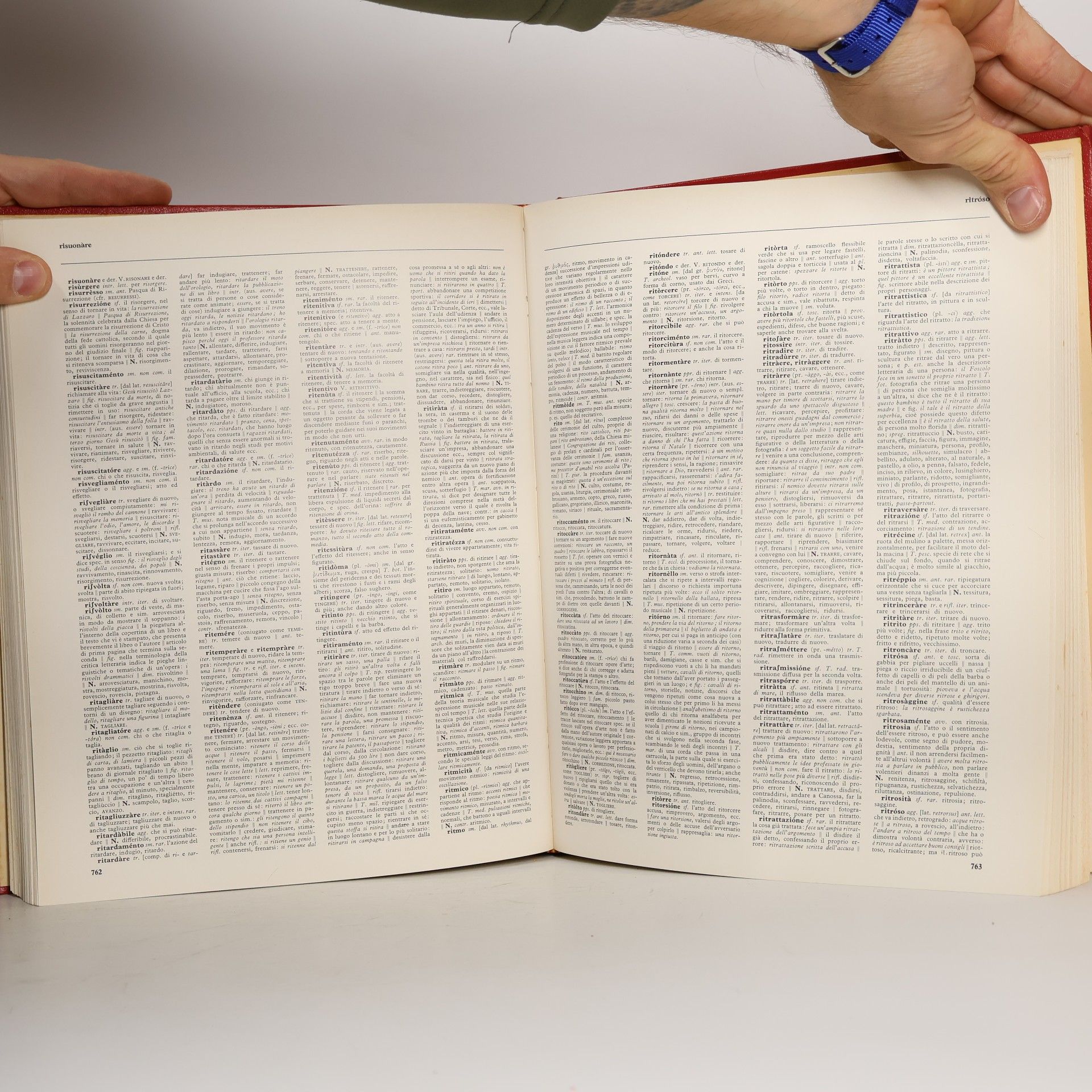 Rosaryta Santini Novissimo dizionario della lingua italiana II.