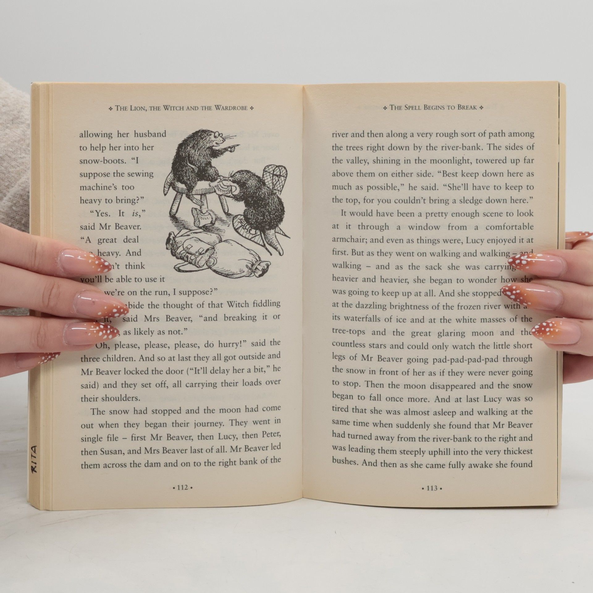 C. S. Lewis The Chronicles of Narnia: The Lion, The Witch and The Wardrobe