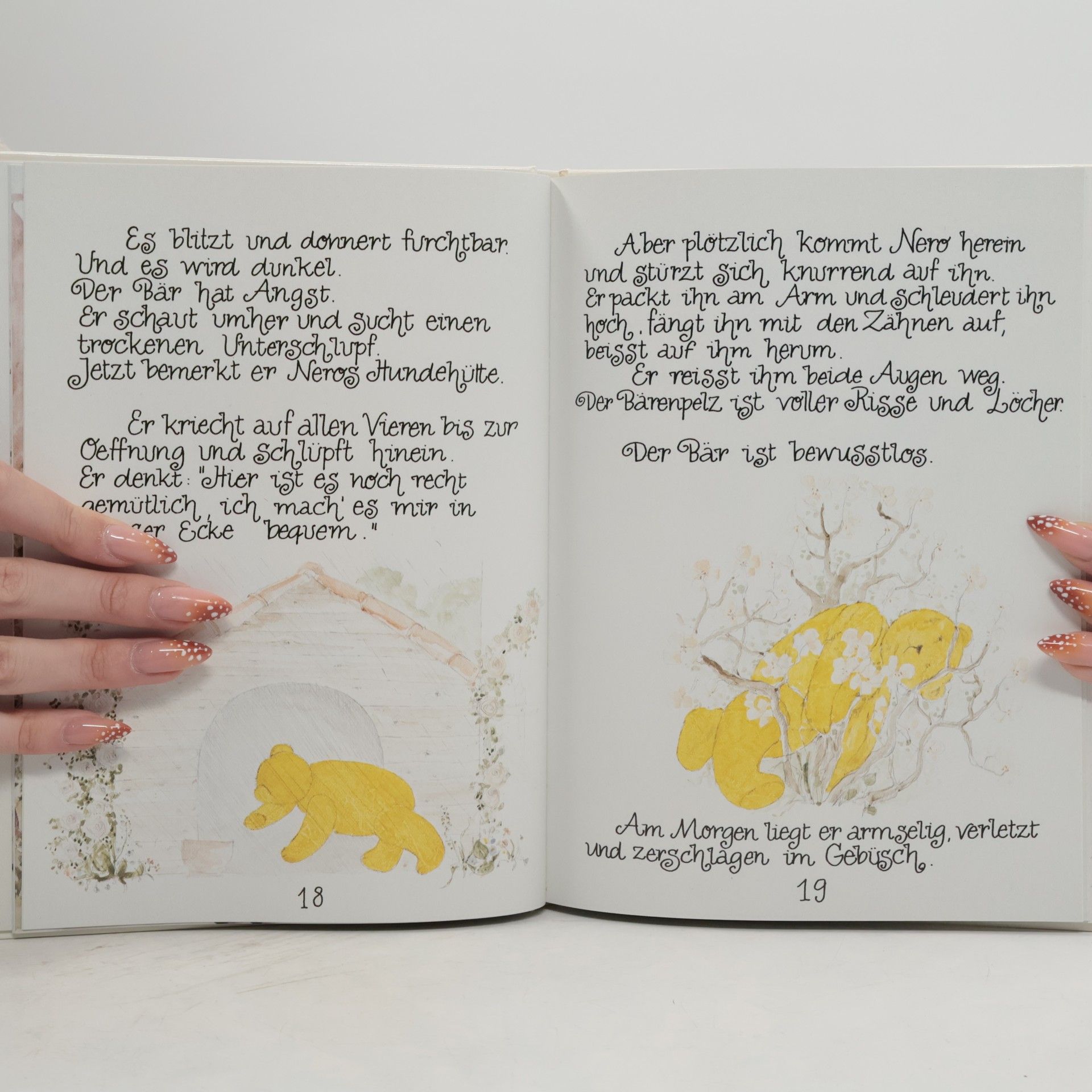 Julie Landis Sager Die Geschichten vom Sonnenbär