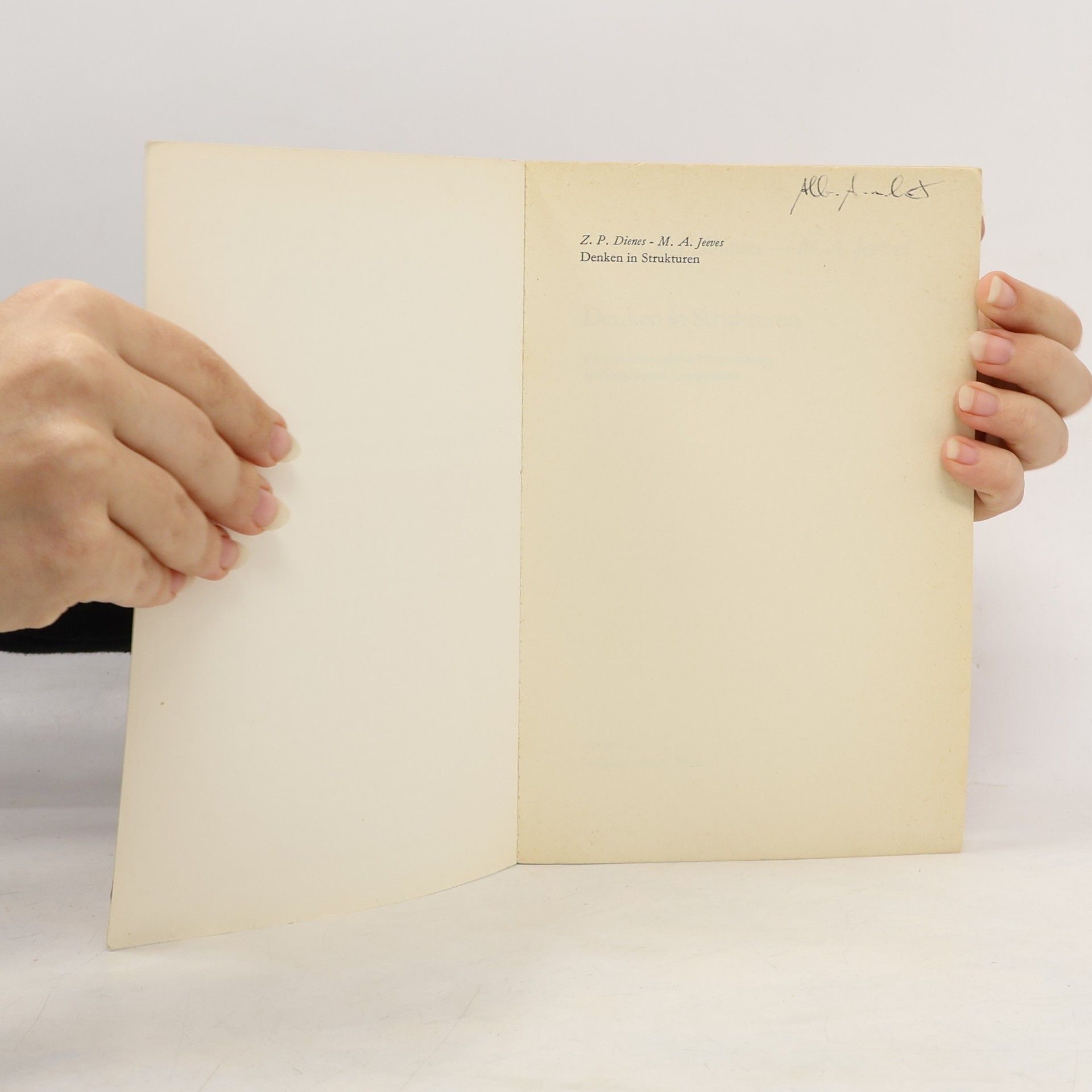 Z.P. Dienes Denken in Strukturen