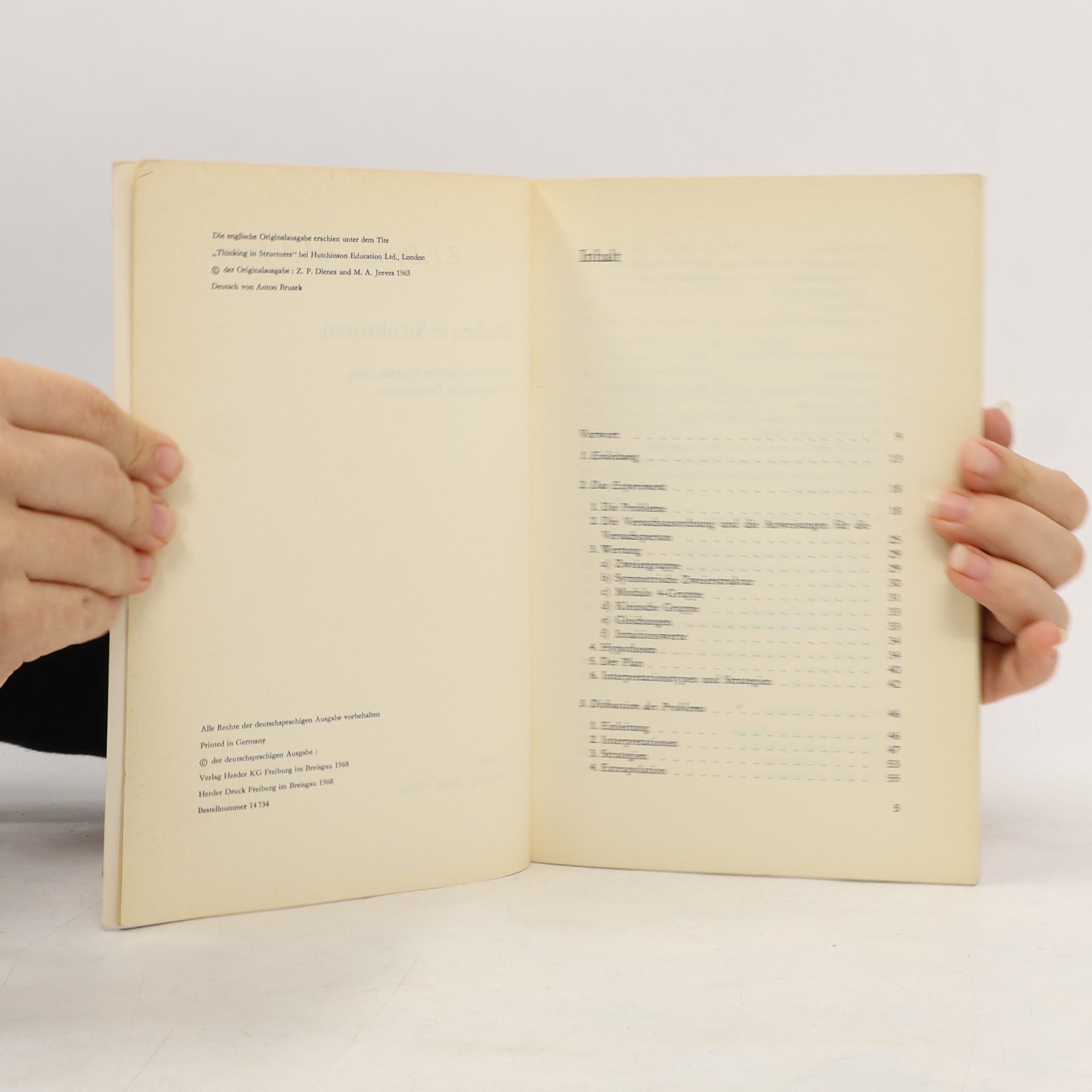 Z.P. Dienes Denken in Strukturen