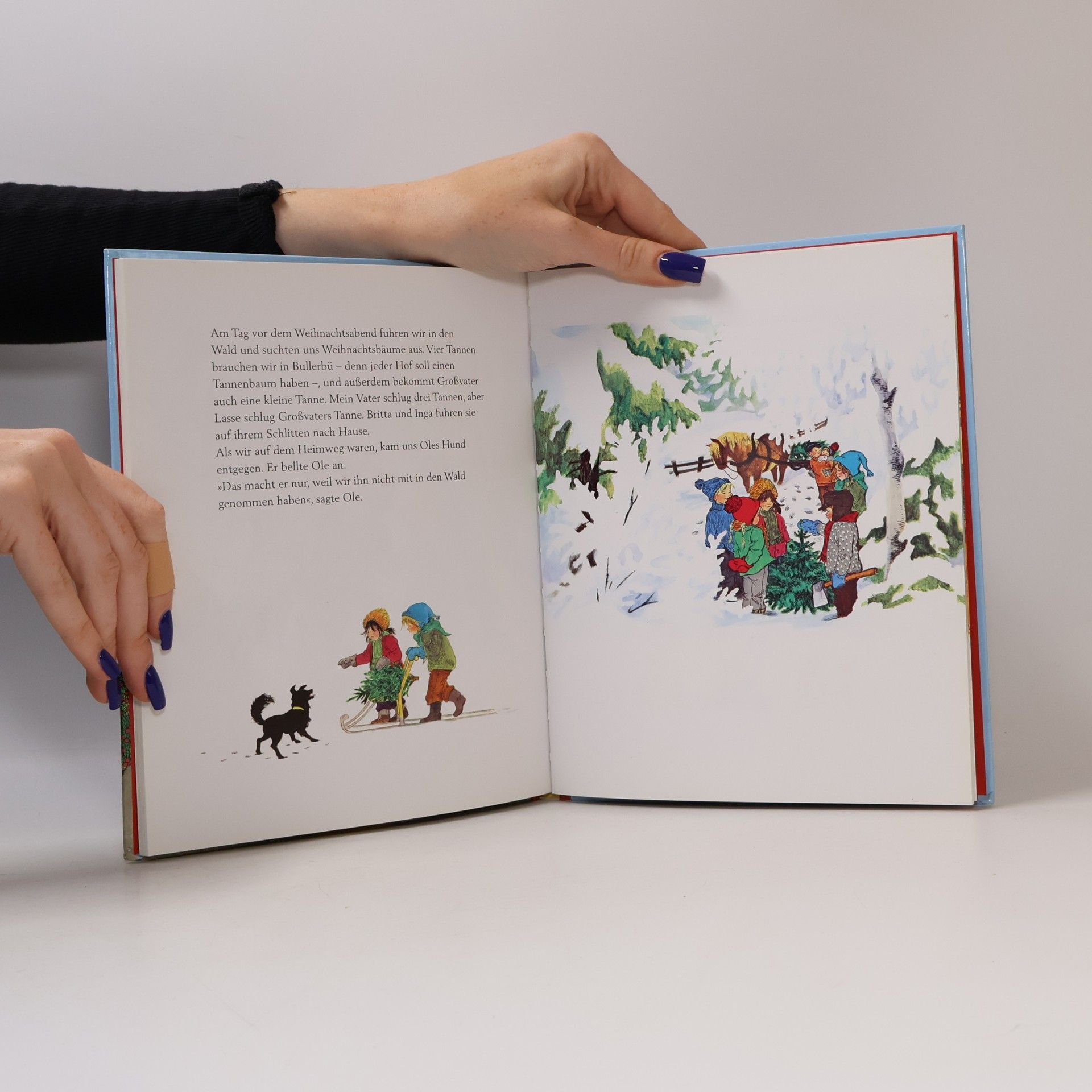 Astrid Lindgren Geschichten aus Bullerbu