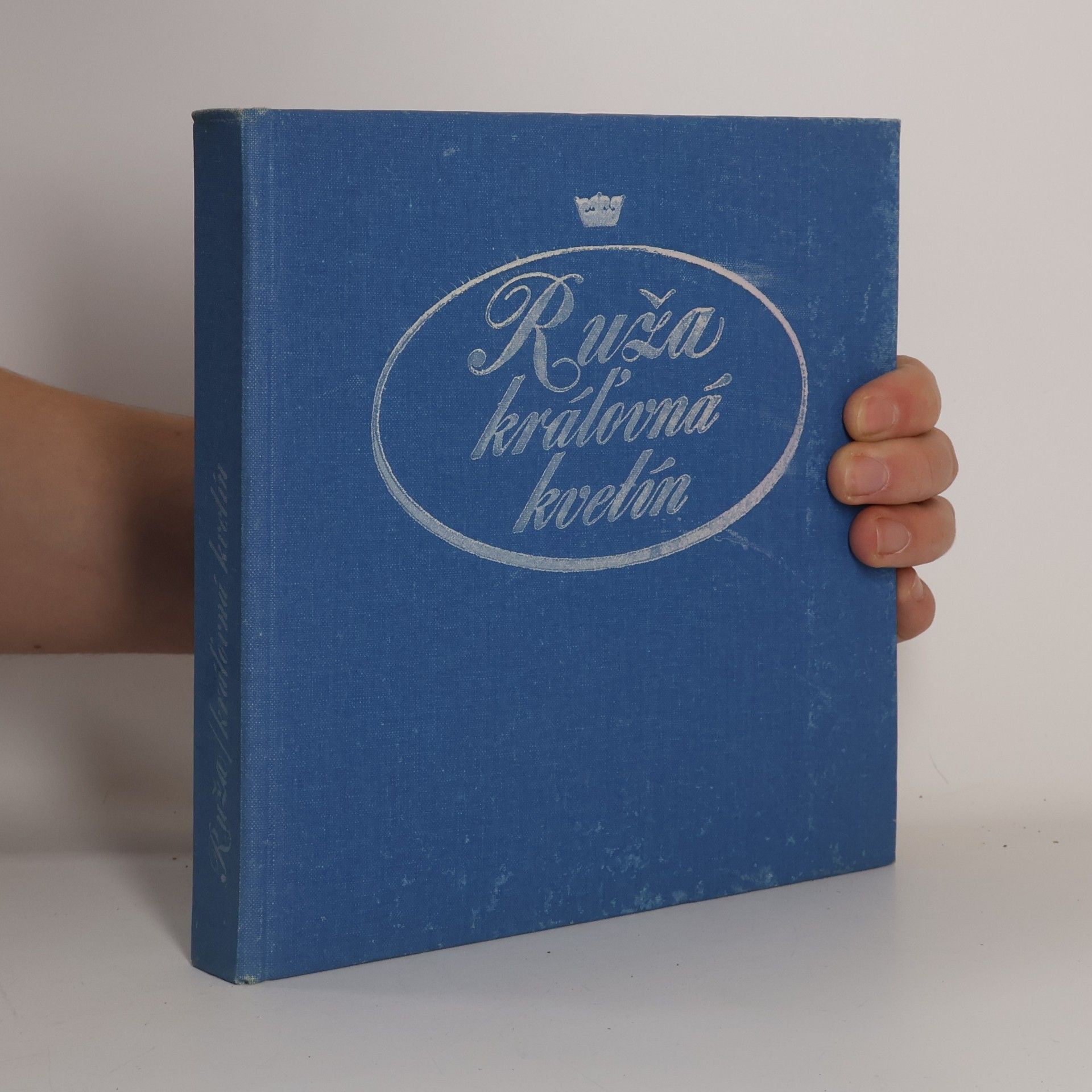 Ruža kráľovná kvetín