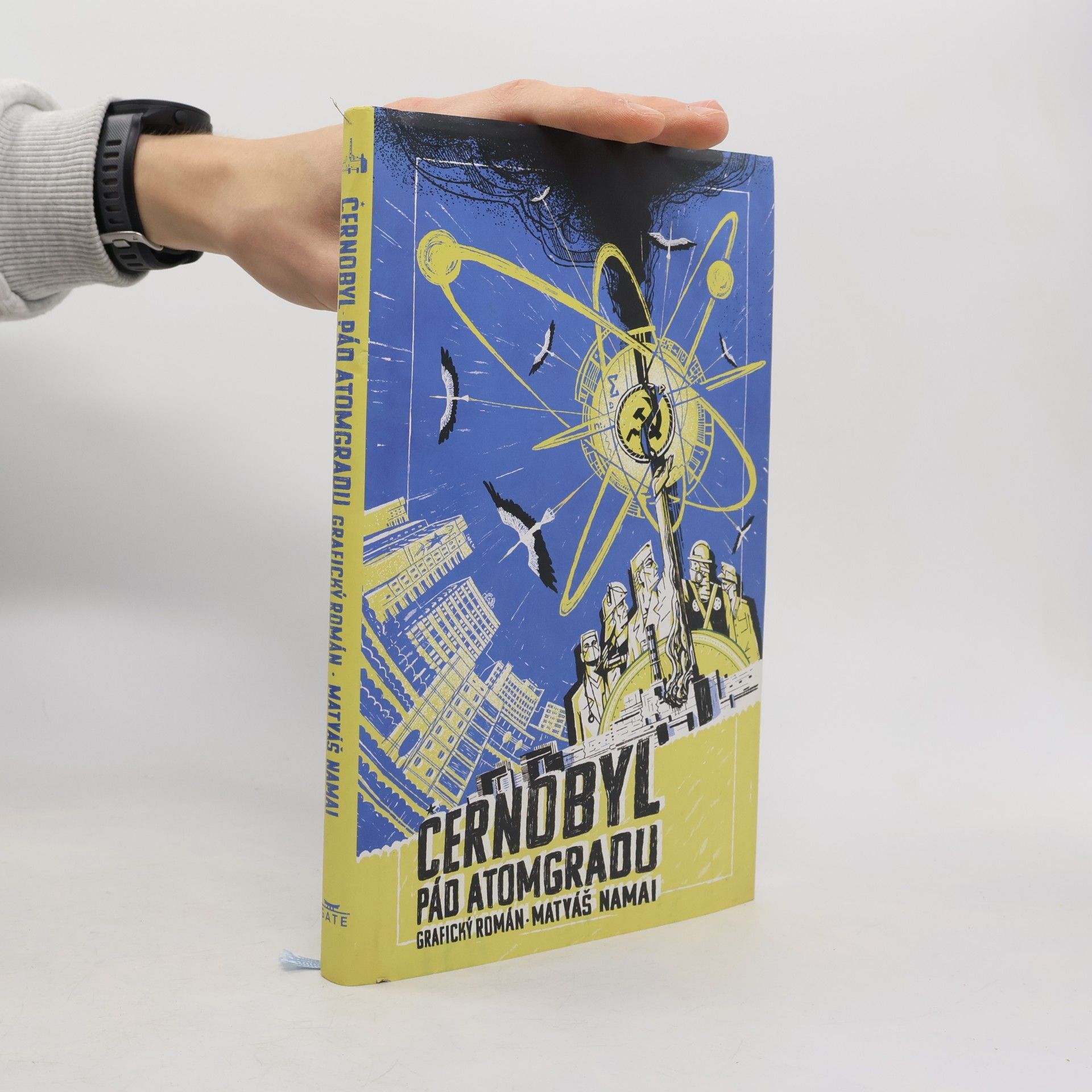 Černobyl : pád Atomgradu : grafický román