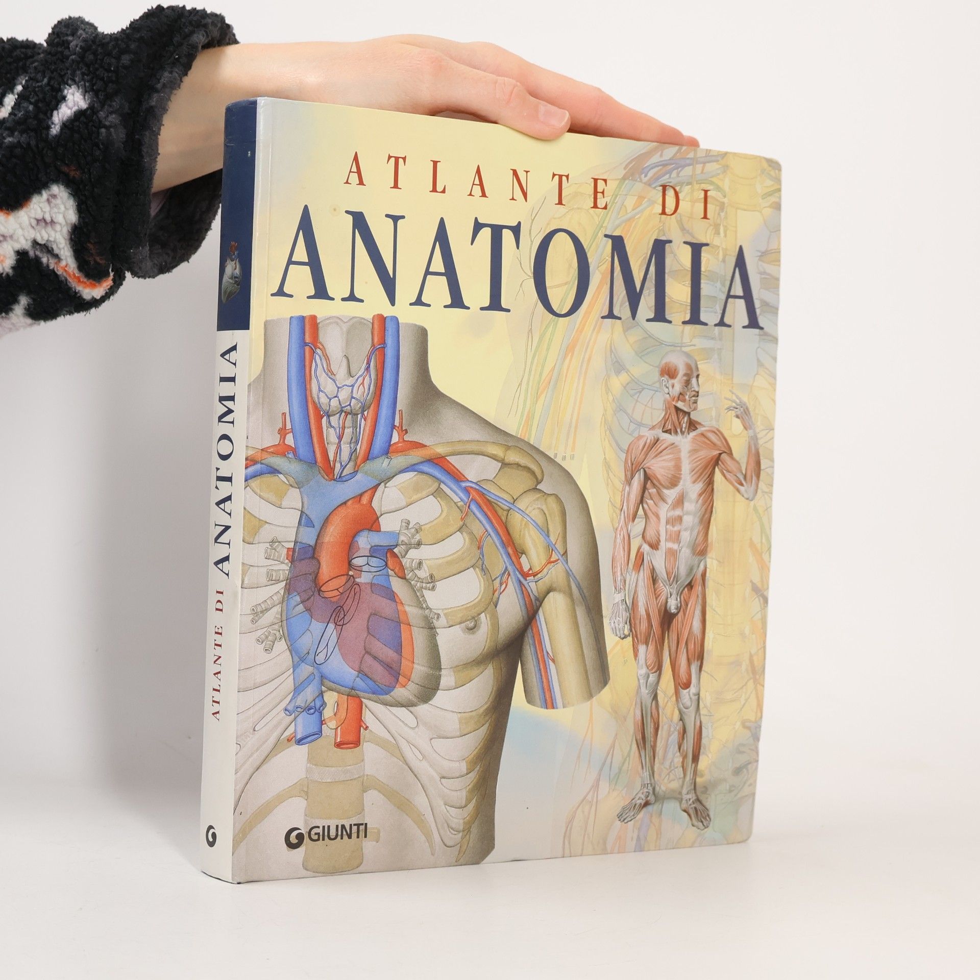 Atlante di Anatomia