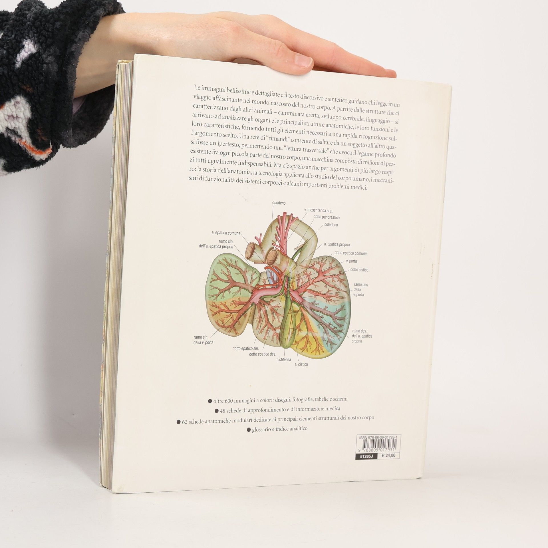 Autores varios Atlante di Anatomia