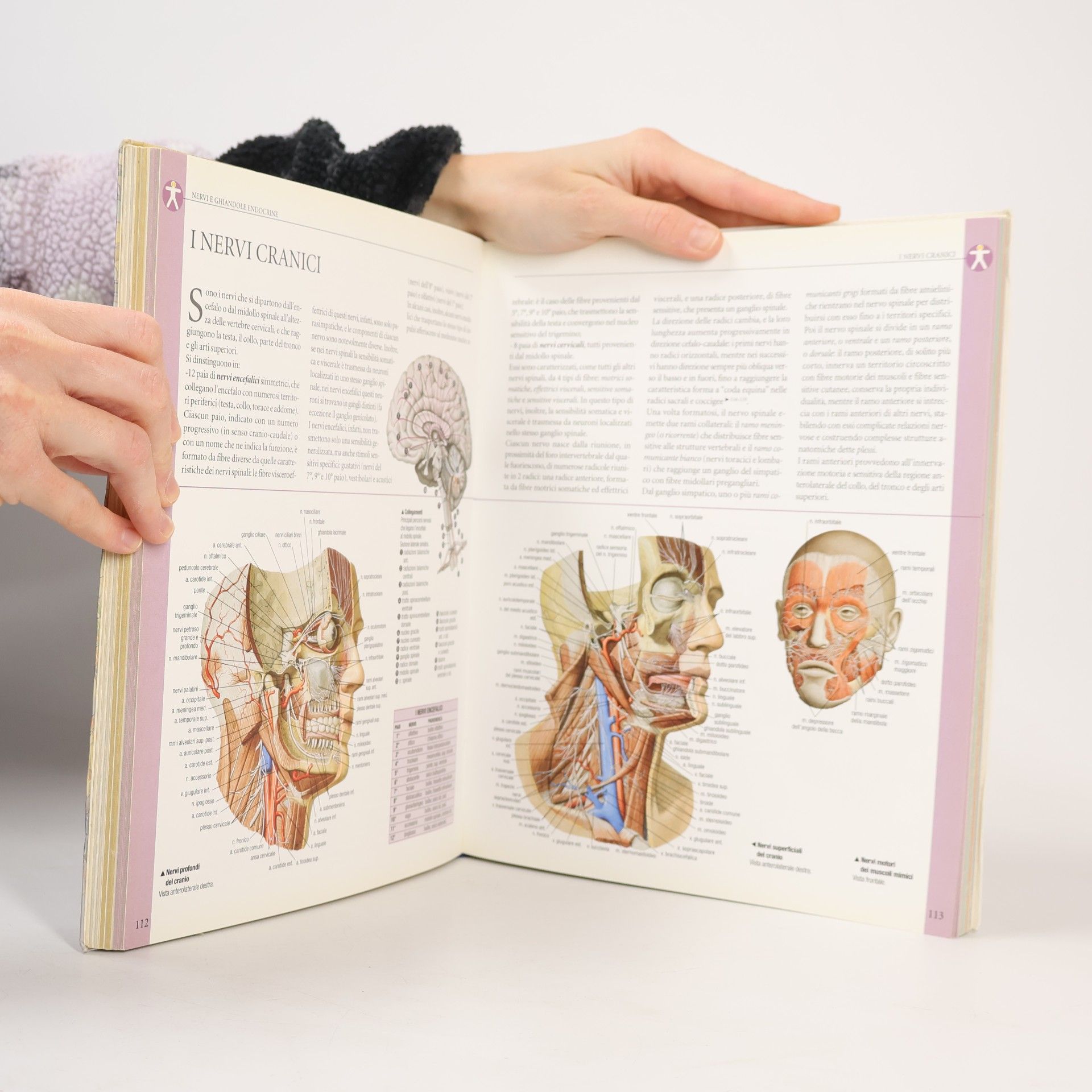 Autores varios Atlante di Anatomia