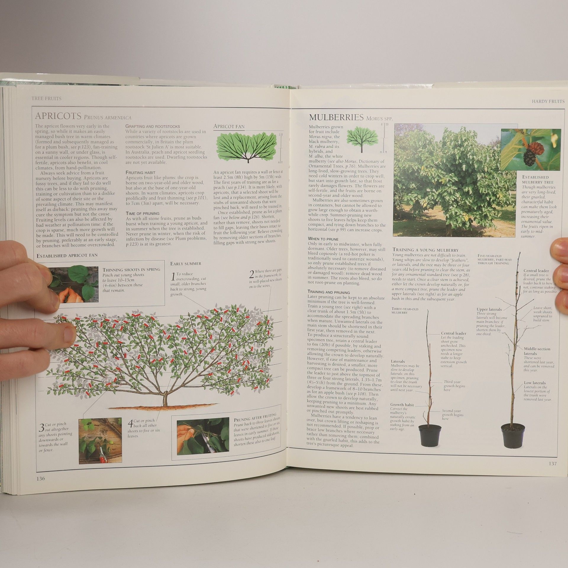 Christopher David Brickell The Royal Horticultural Society Pruning and Training