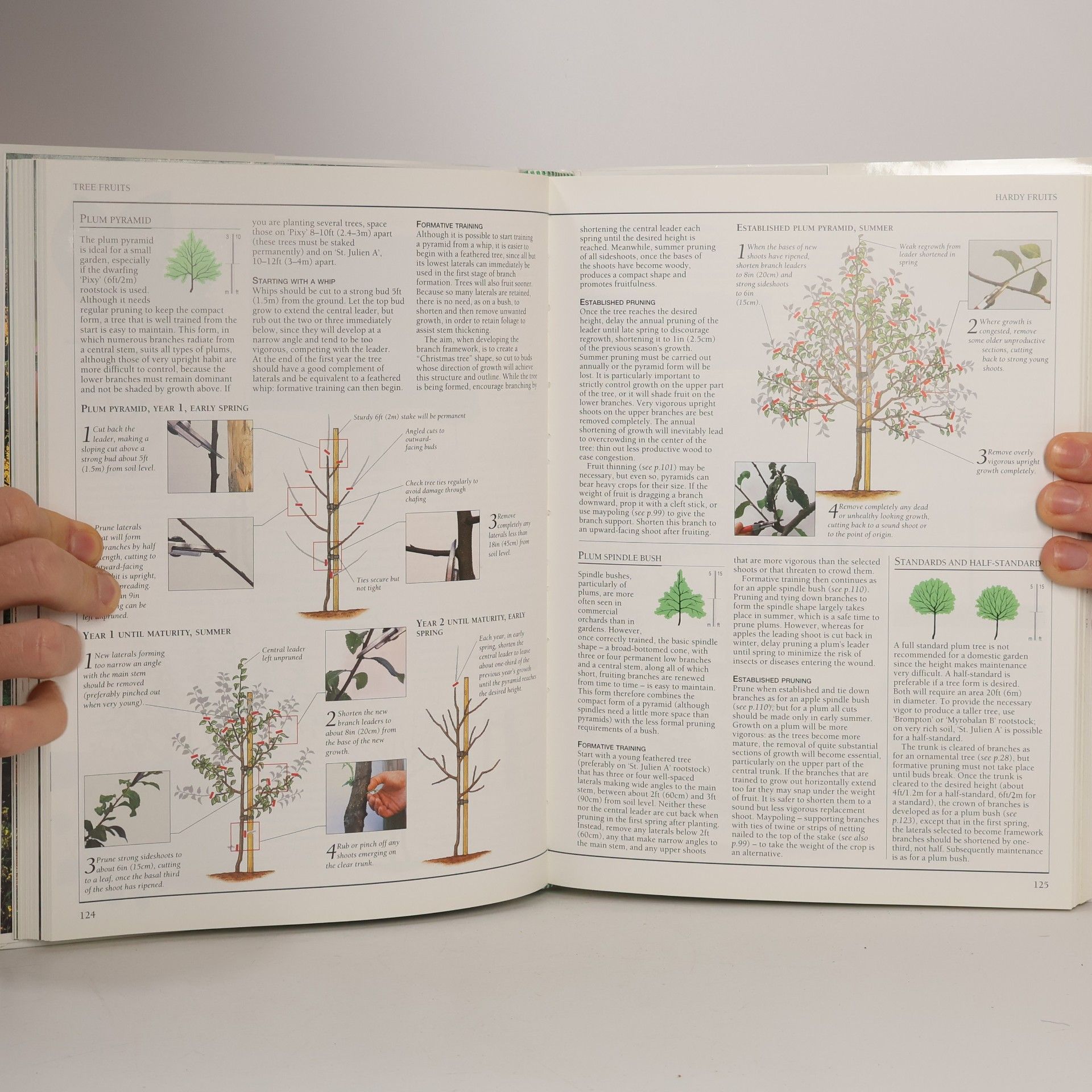 Christopher Brickell The American Horticultural Society Pruning and Training