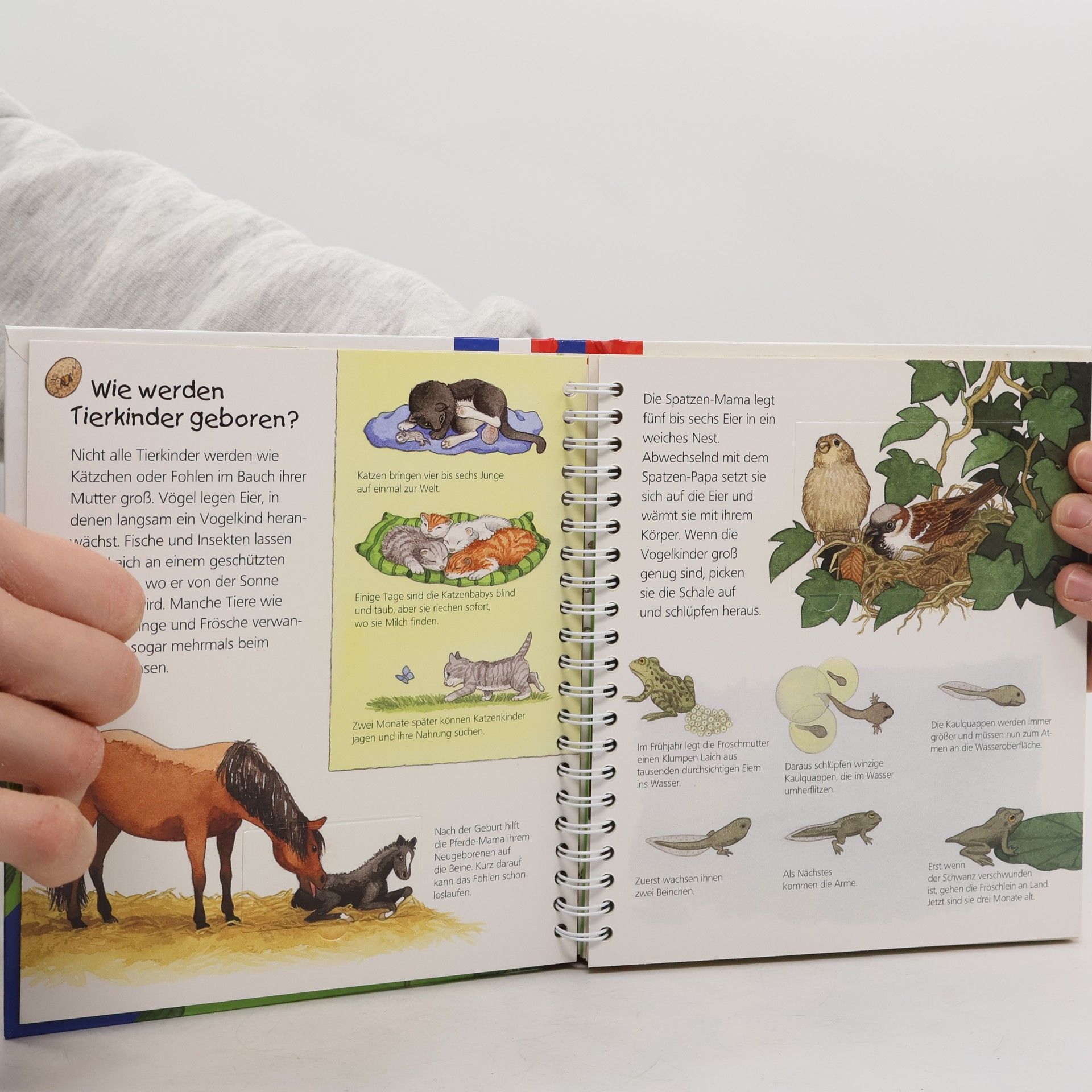Anne Ebert Unsere Tierkinder