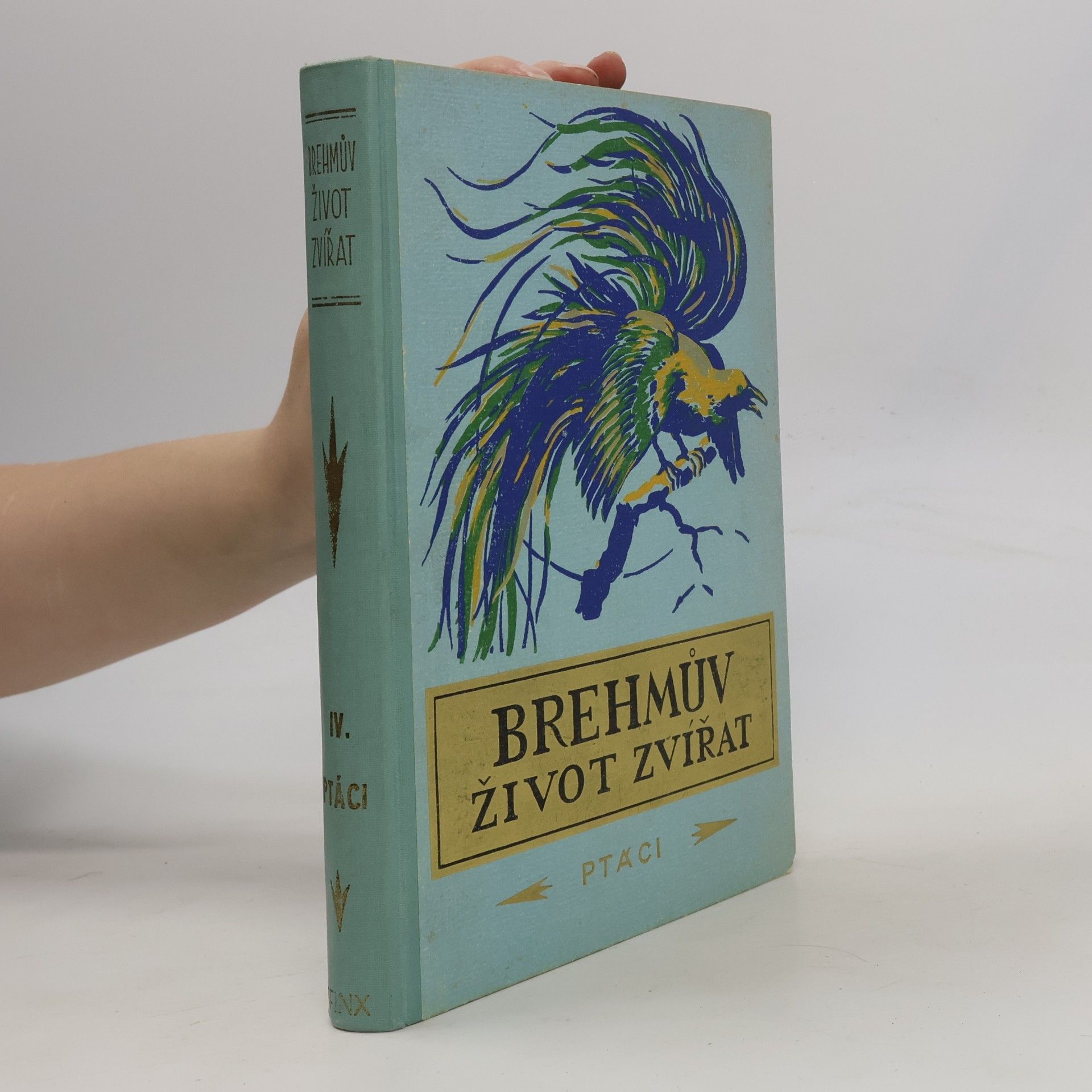 Brehmův ilustrovaný život zvířat IV. Ptáci 1.