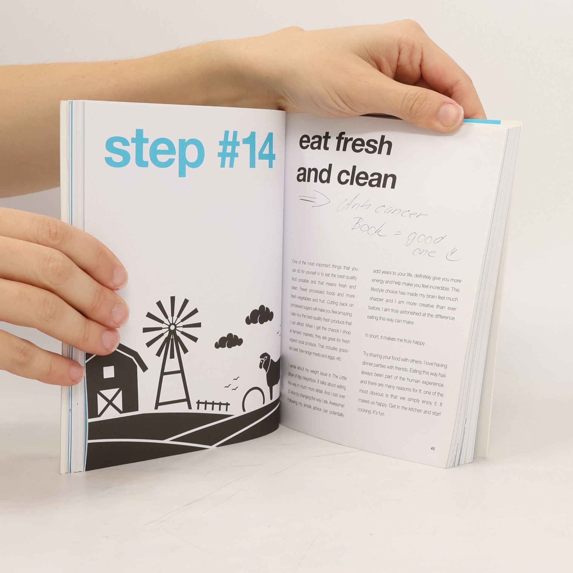 Bernadette Fisers The Little Book of Big Happiness