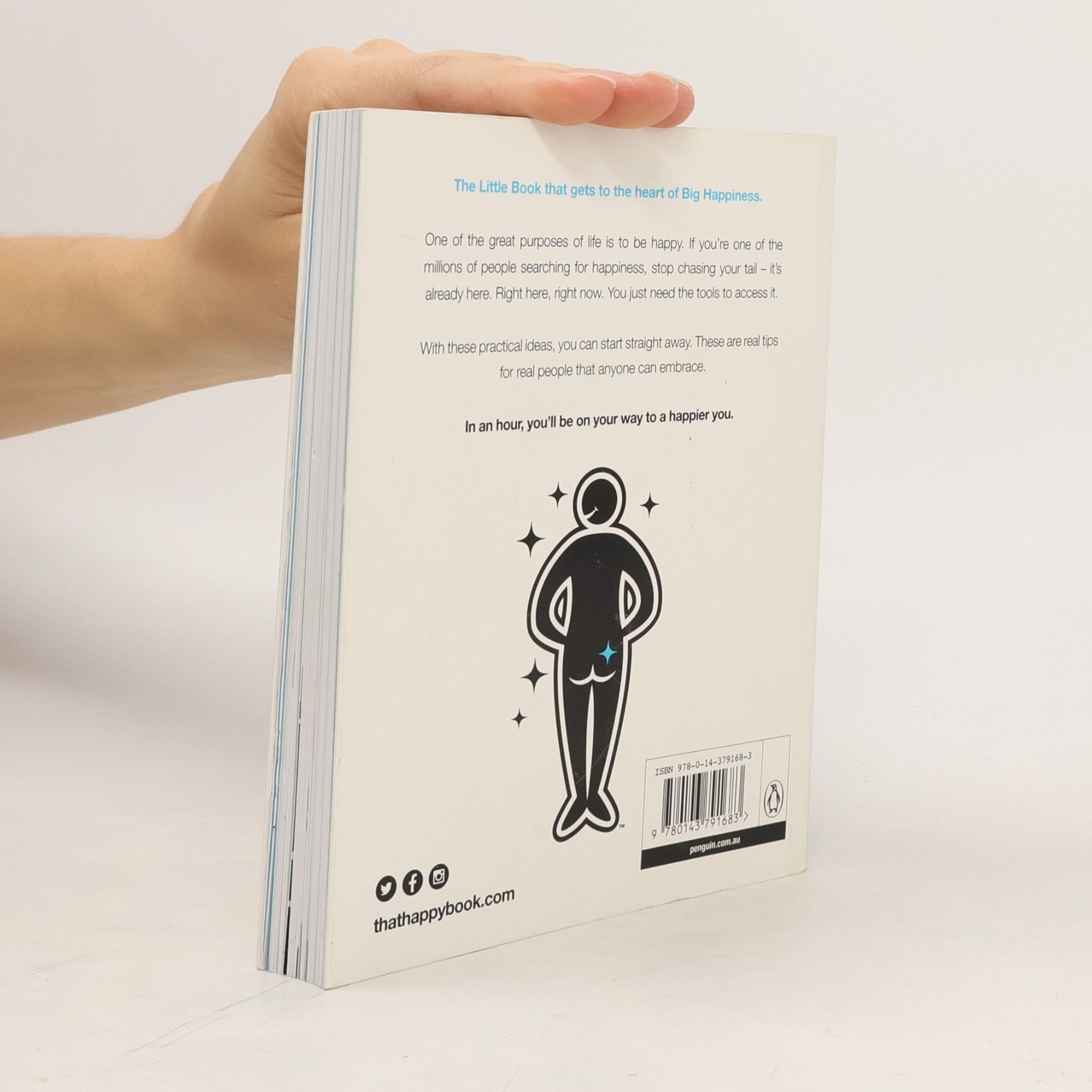 Bernadette Fisers The Little Book of Big Happiness