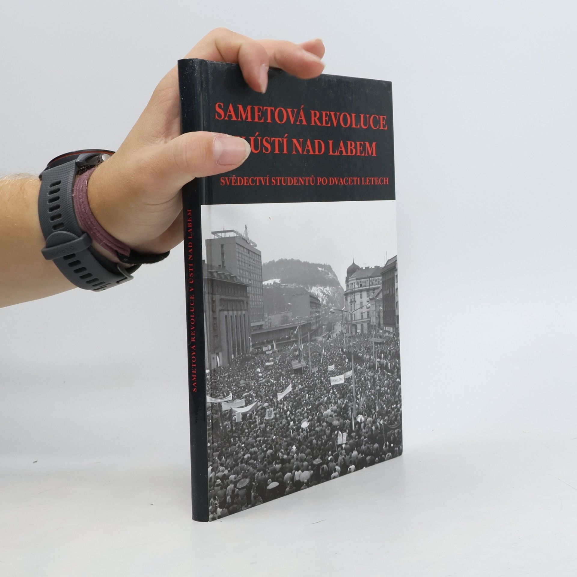 Sametová revoluce v Ústí nad Labem