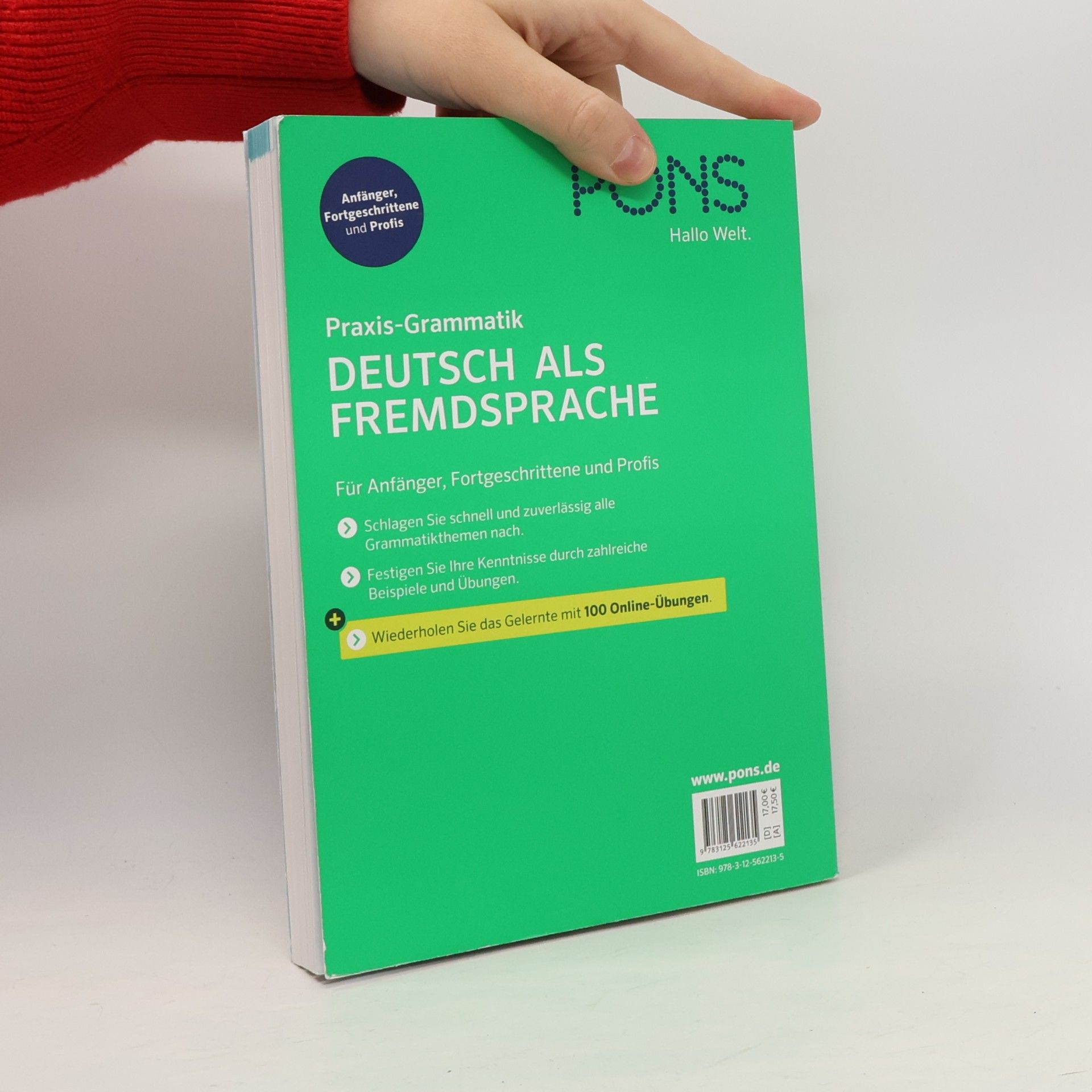 Alke Hauschild Praxis-Grammatik Deutsch als Fremdsprache
