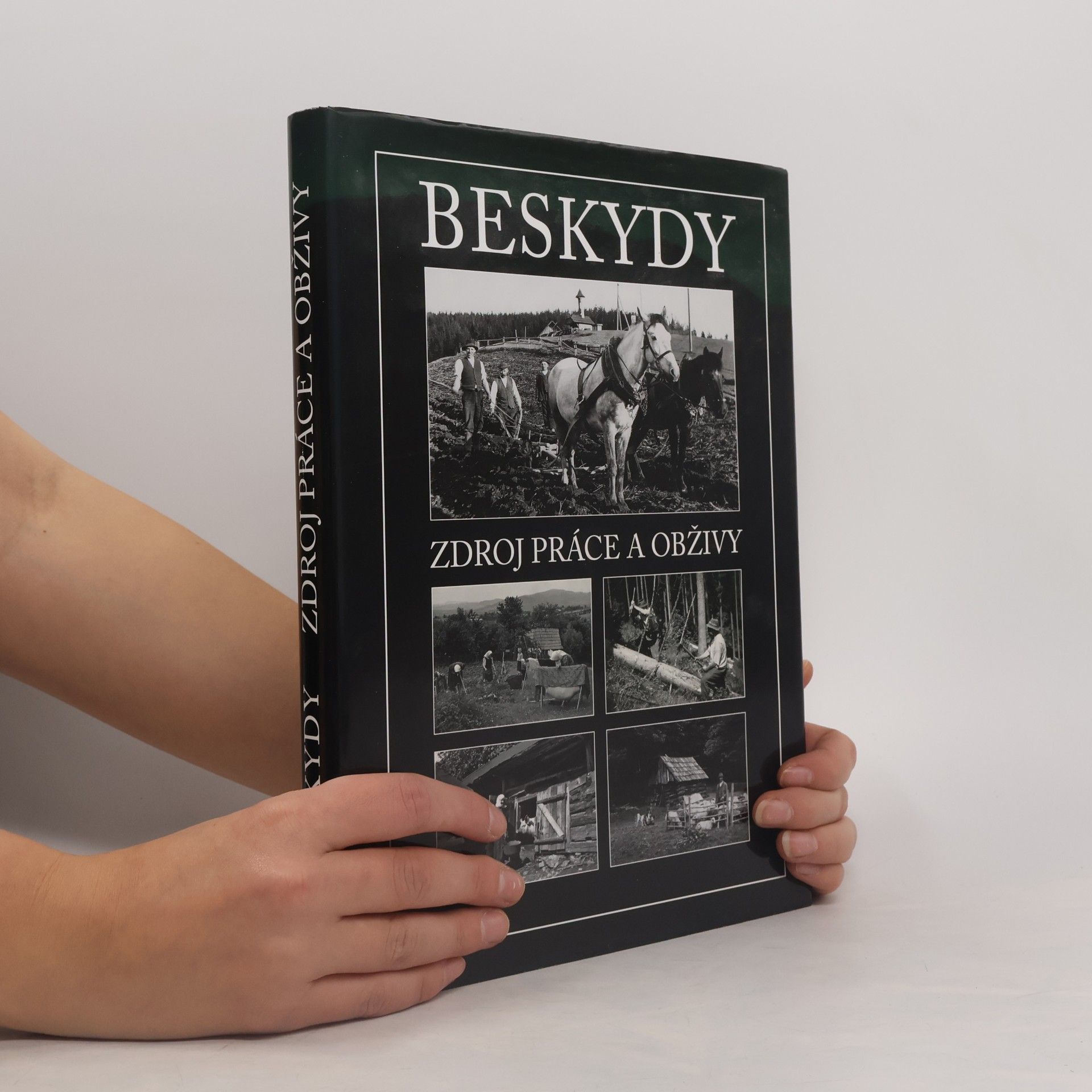 Beskydy: Zdroj práce a obživy (v originálním obalu)