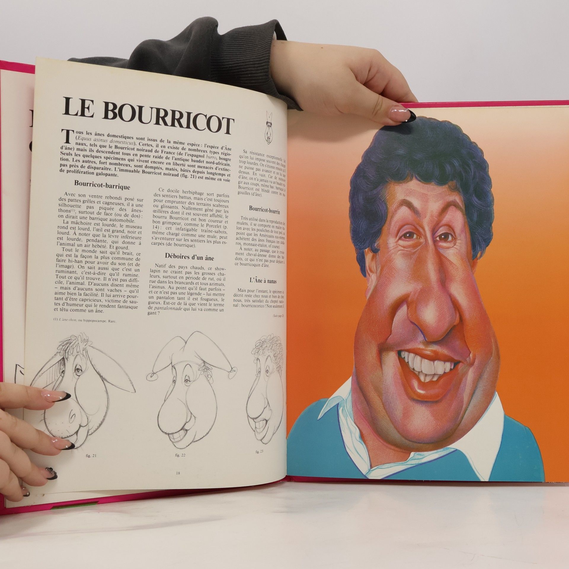 Rigord Télé, ton univers impitoyable