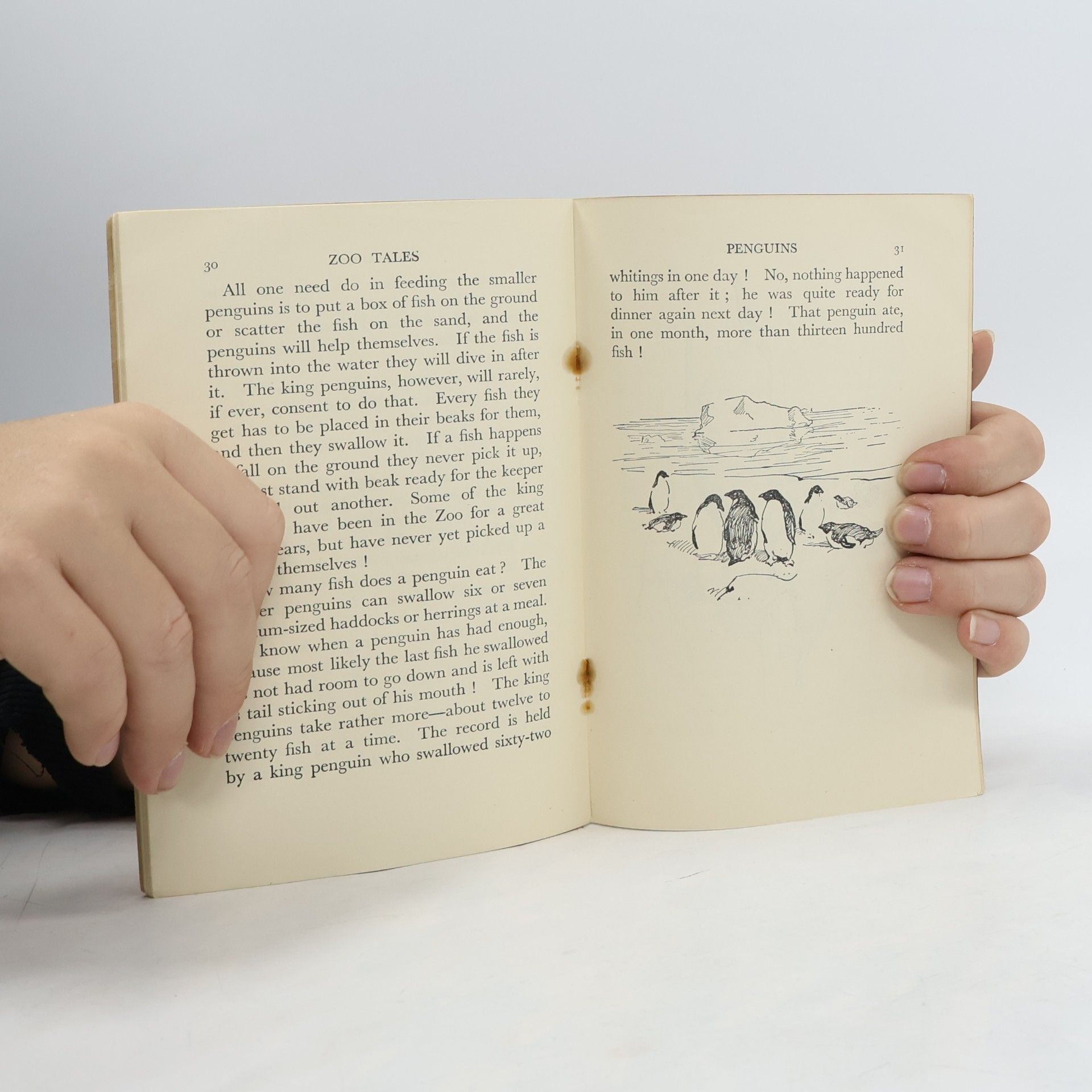 William Walls Zoo Tales 2