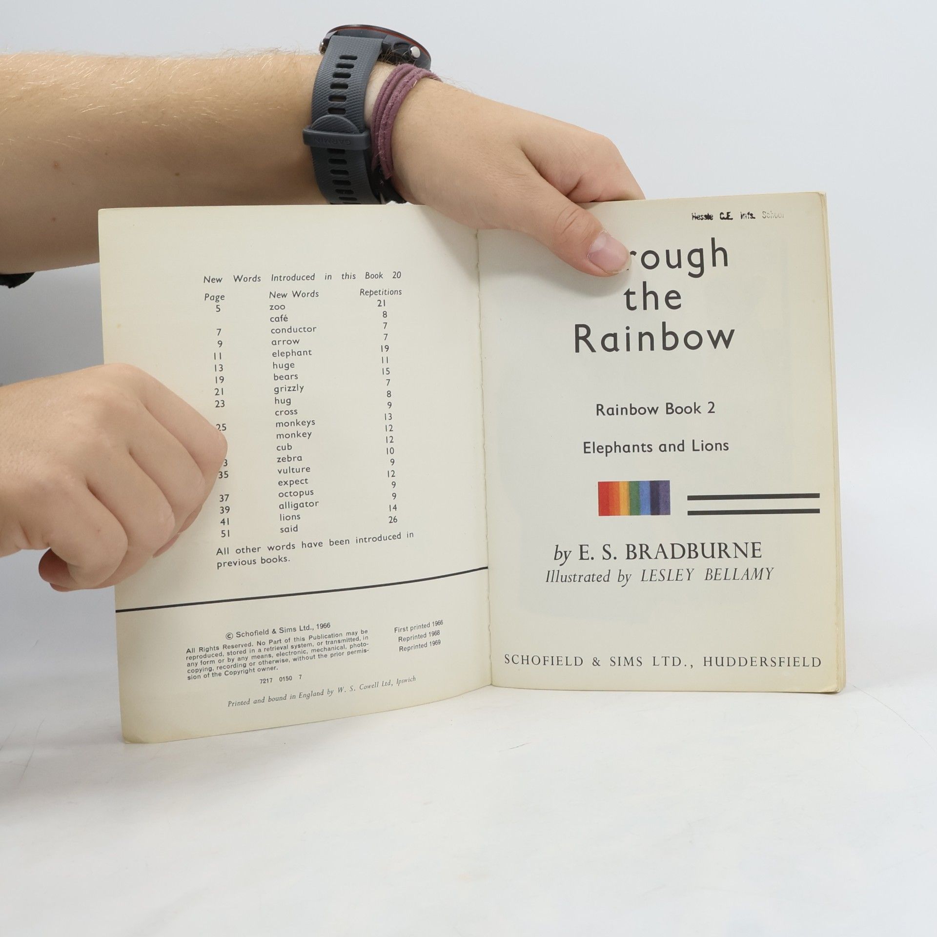 Lesley Bellamy Through the Rainbow 2