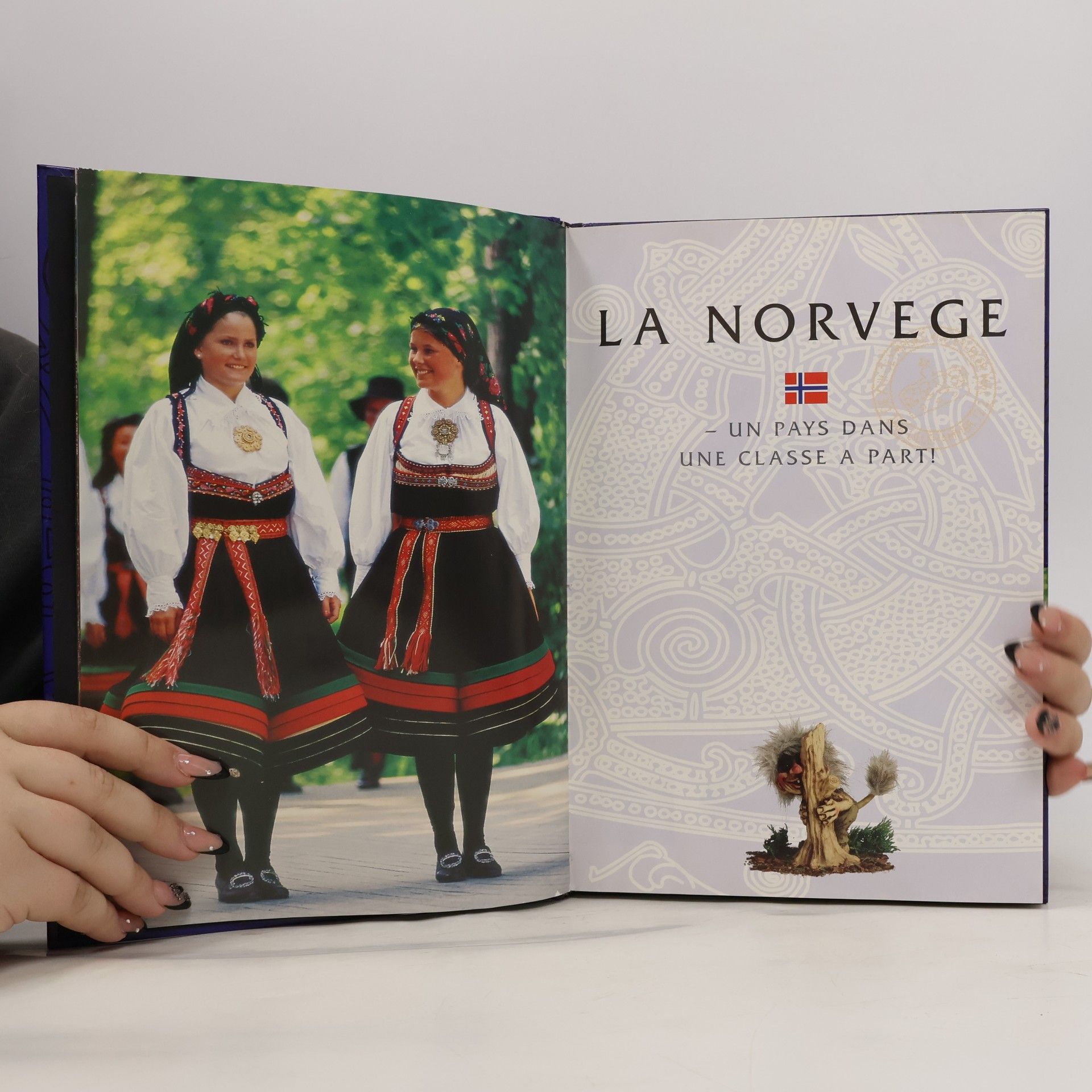 Collectif d'auteurs La Norvège