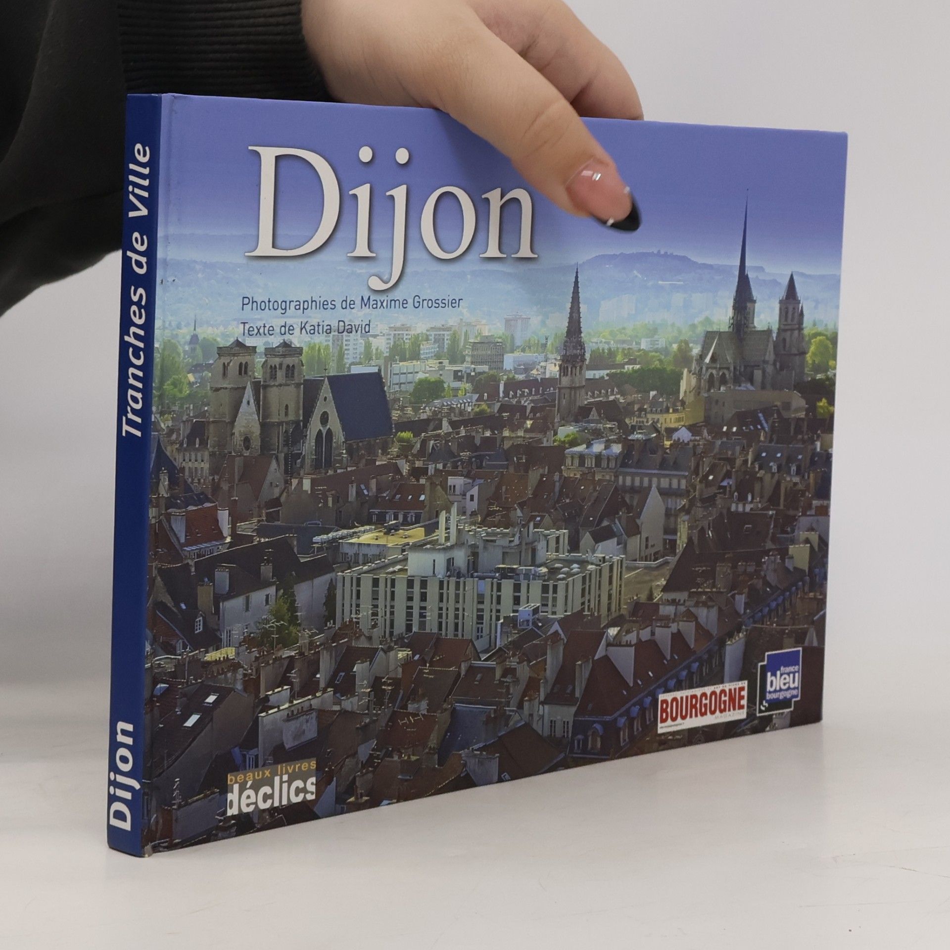 Tranches de Ville: Dijon
