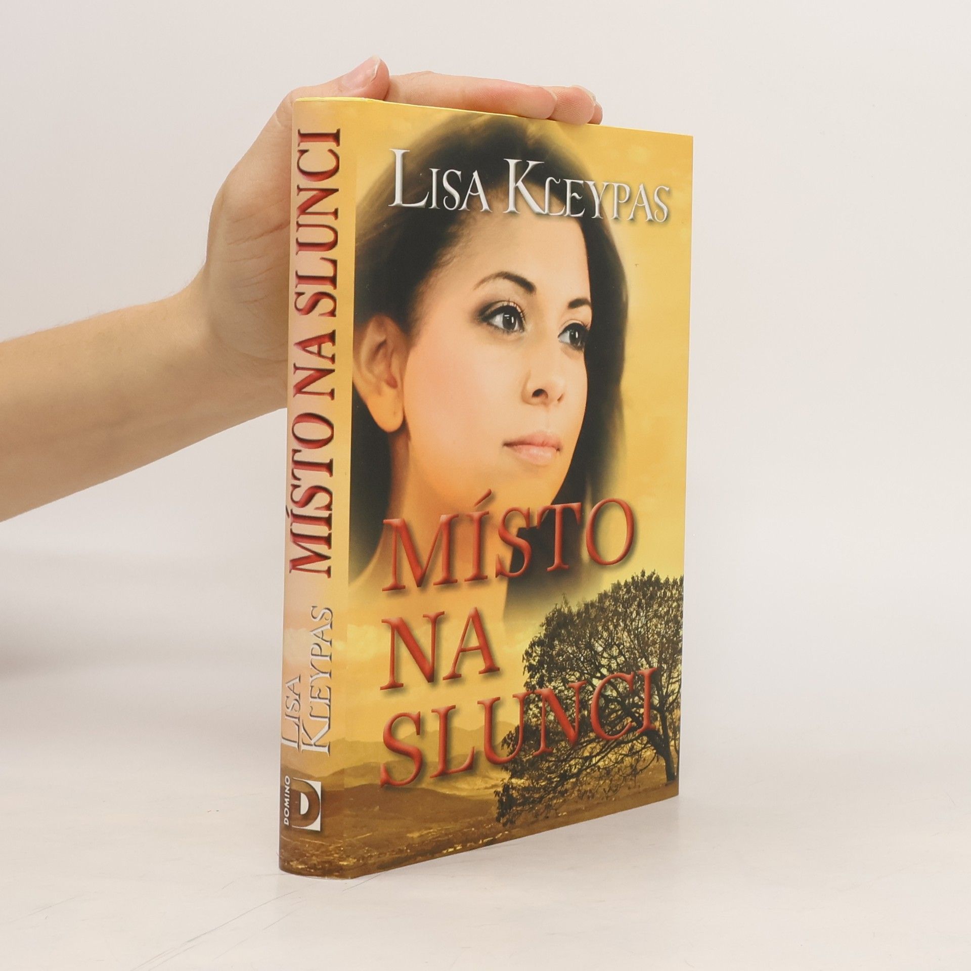 Lisa Kleypas Místo na slunci