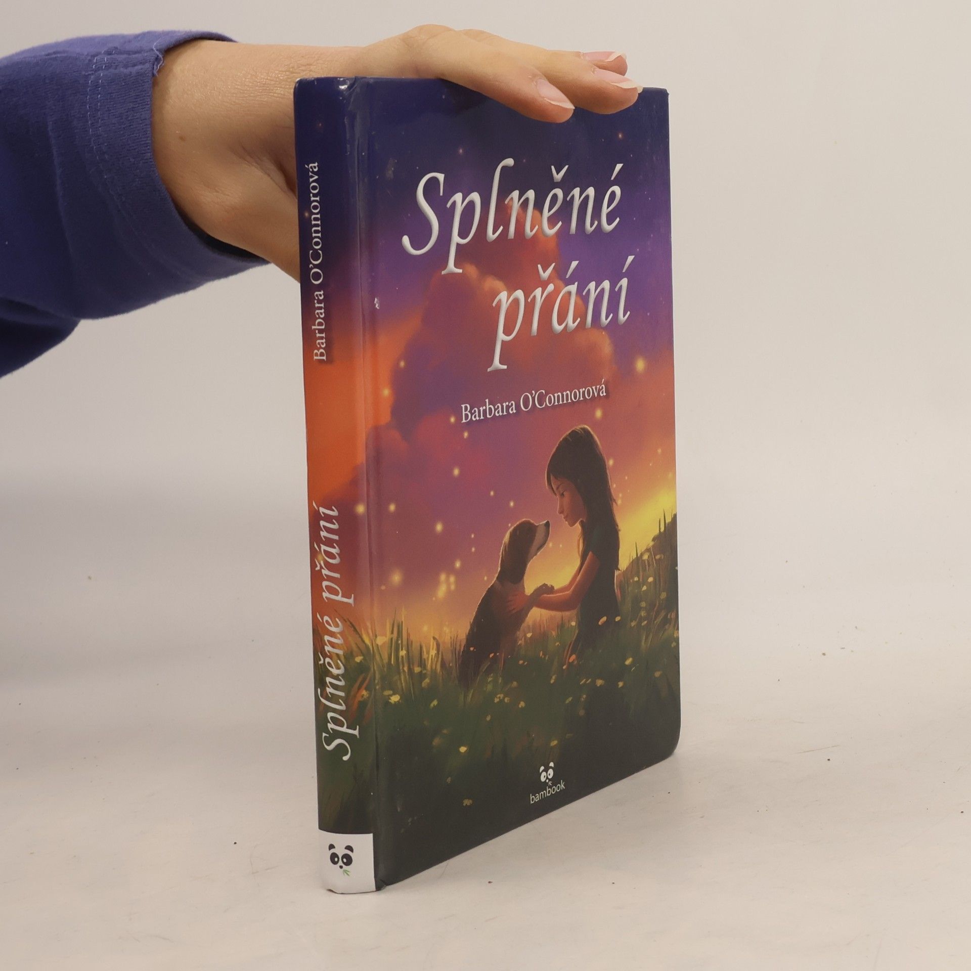 Barbara O'Connor Splněné přání