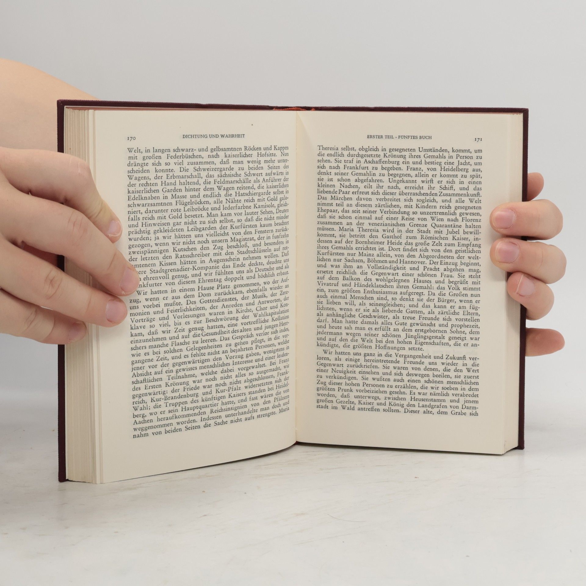 Johann Wolfgang von Goethe Goethes Werke XXI