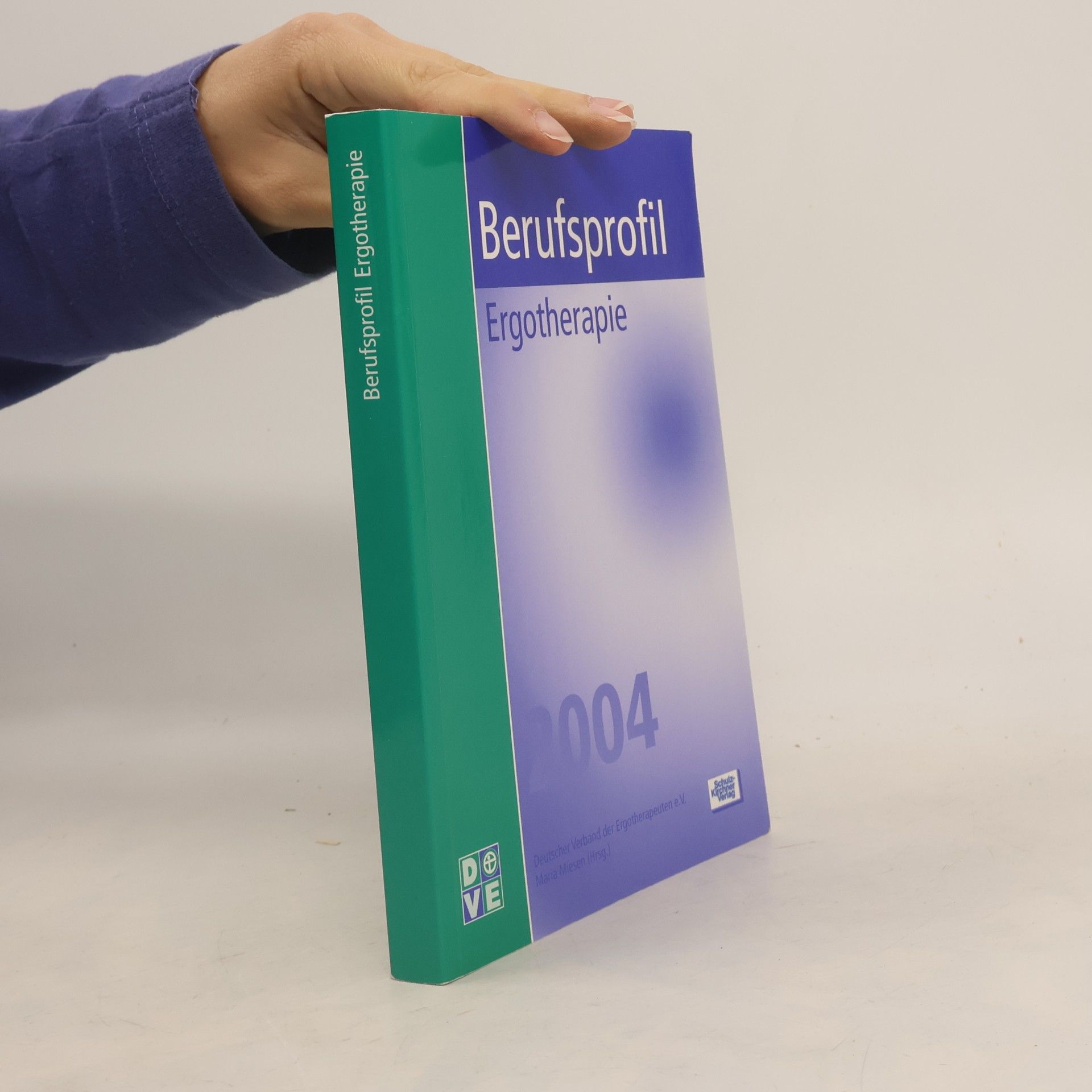 Berufsprofil Ergotherapie 2004