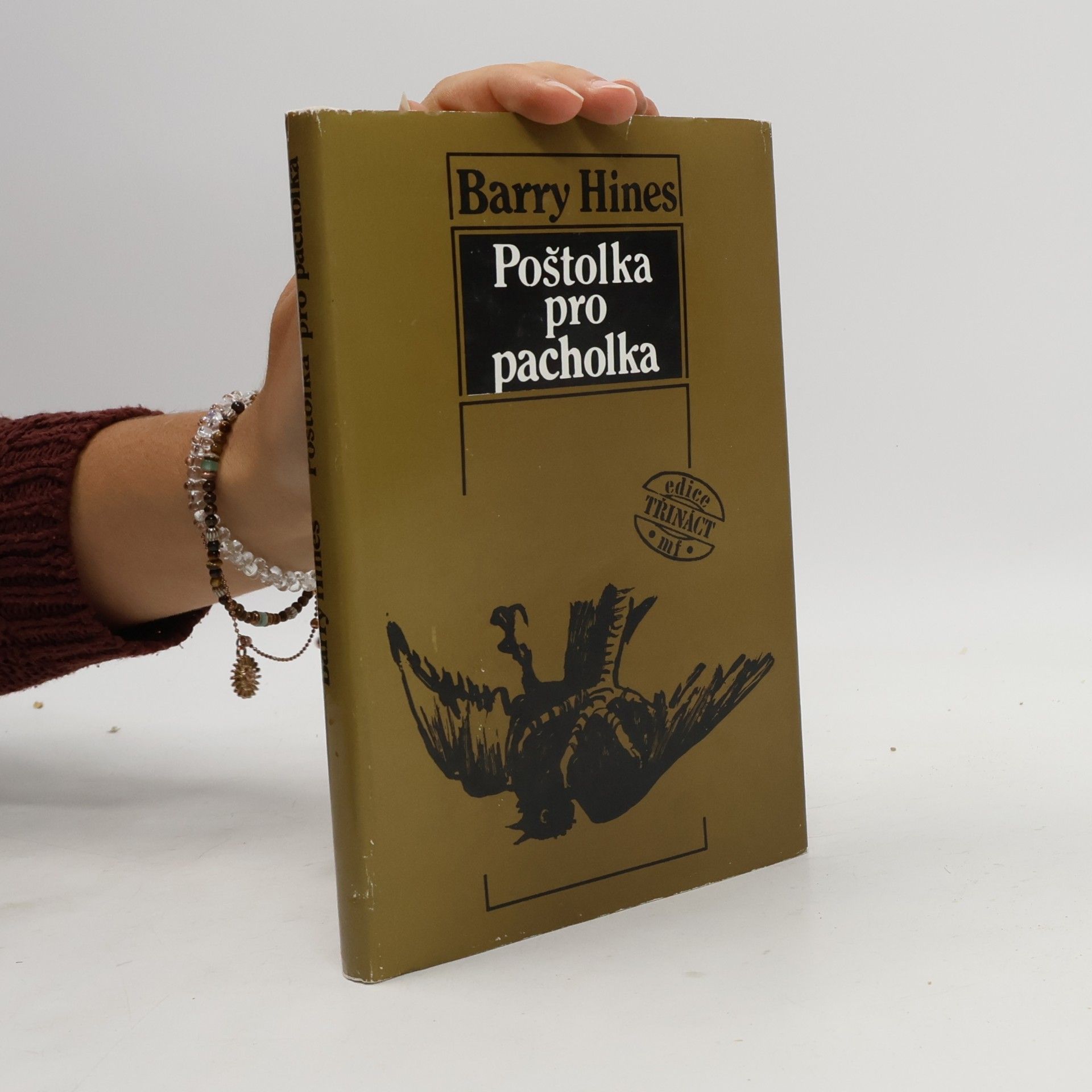 Poštolka pro pacholka